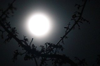 The Great Earth Day Lights Out!