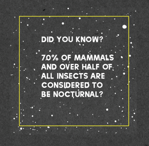 A new moon, a new chapter