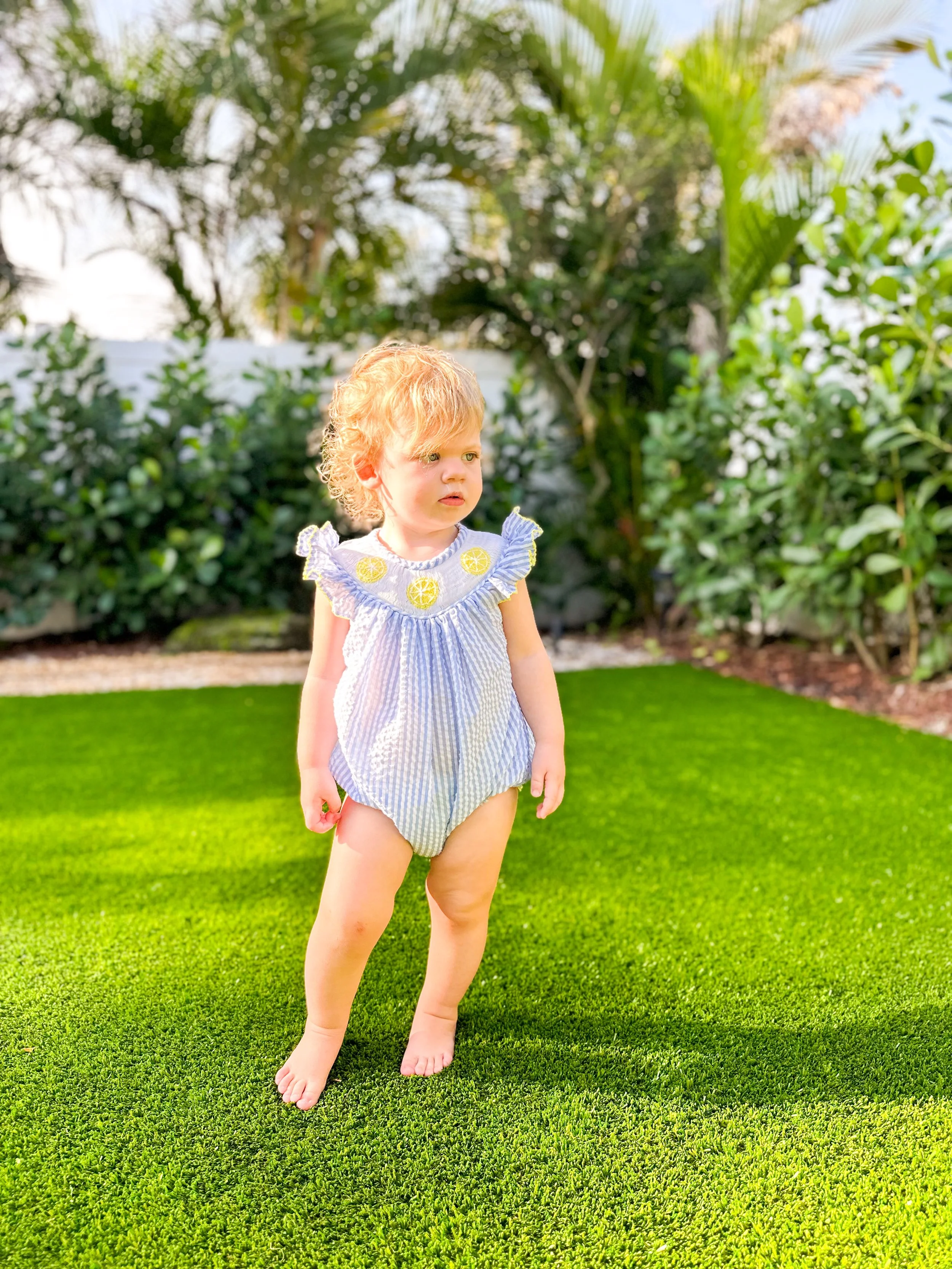 Family Portrait, 2024