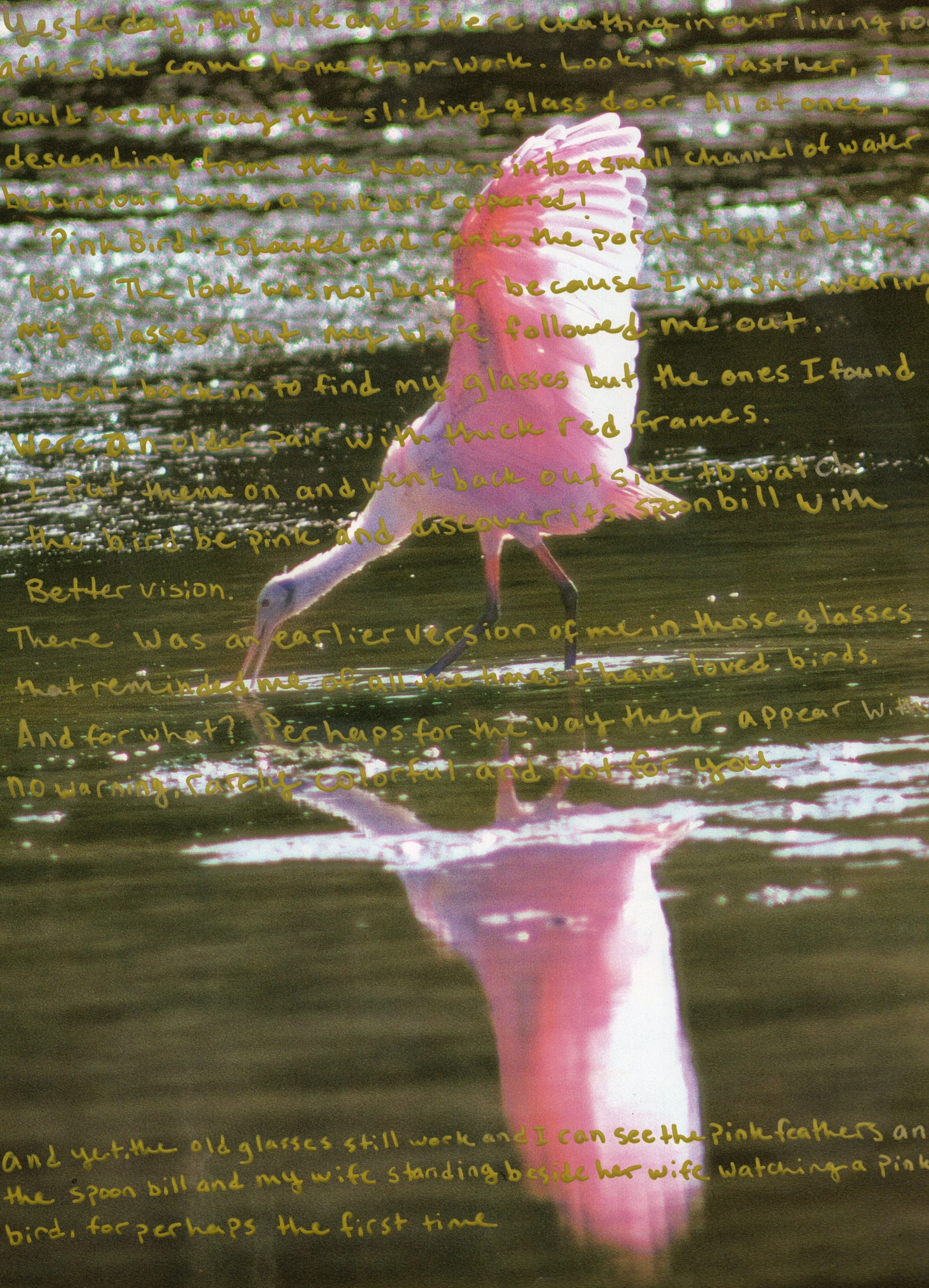 "Pink Bird", Sharpie on found photoprint, 2023