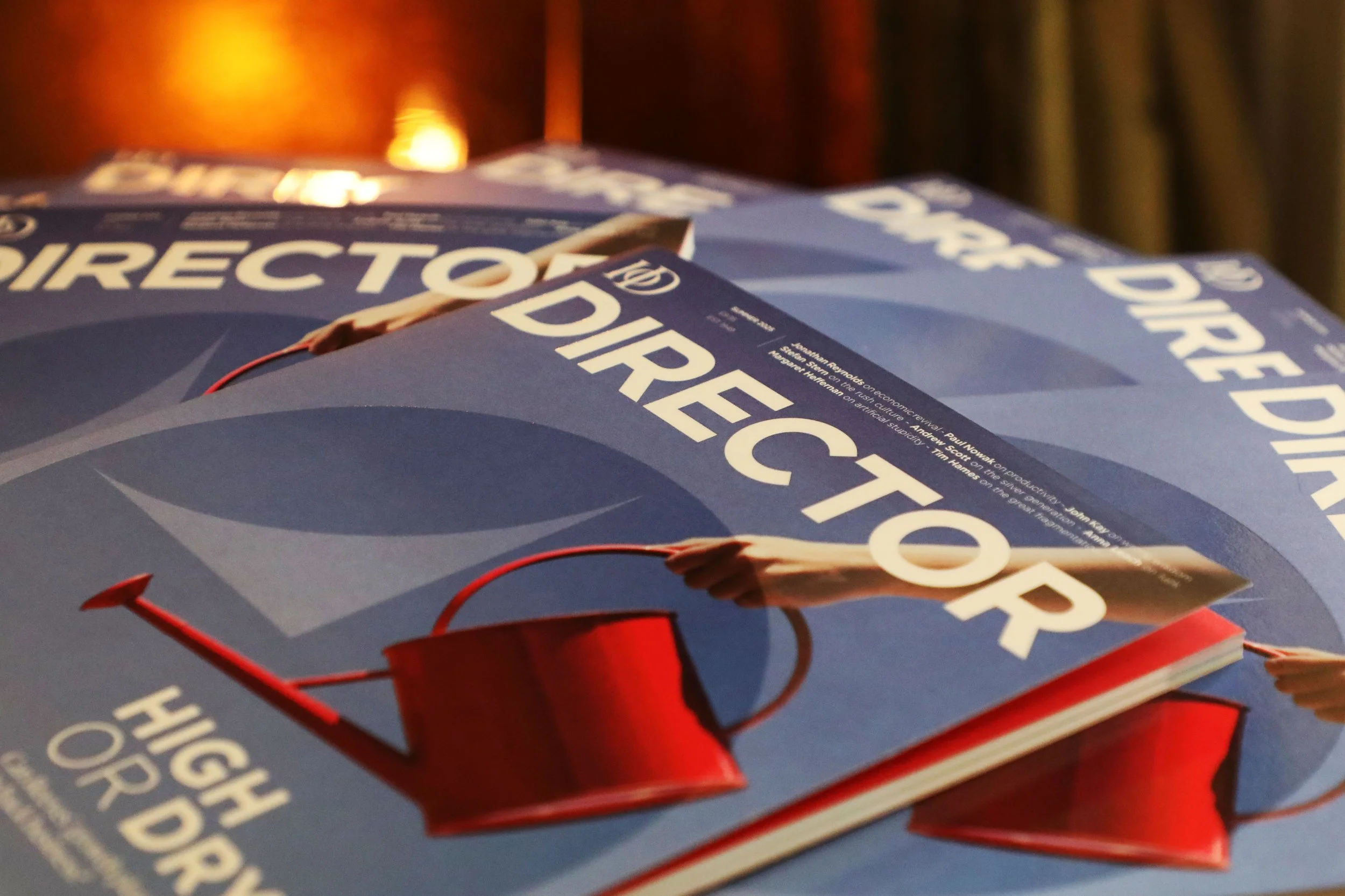 Director Relaunch 0007.jpg
