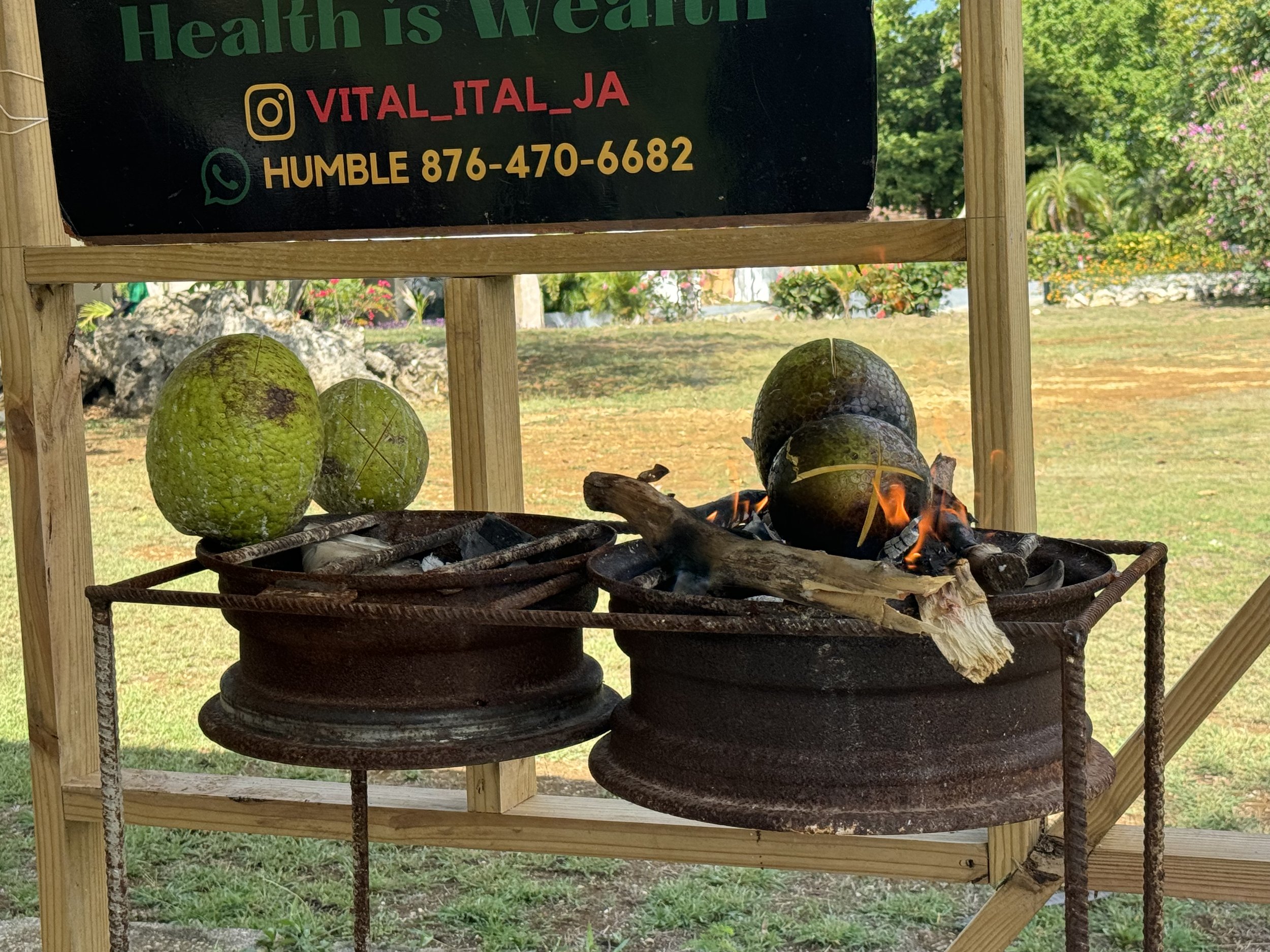 IMG_2982.jpeg