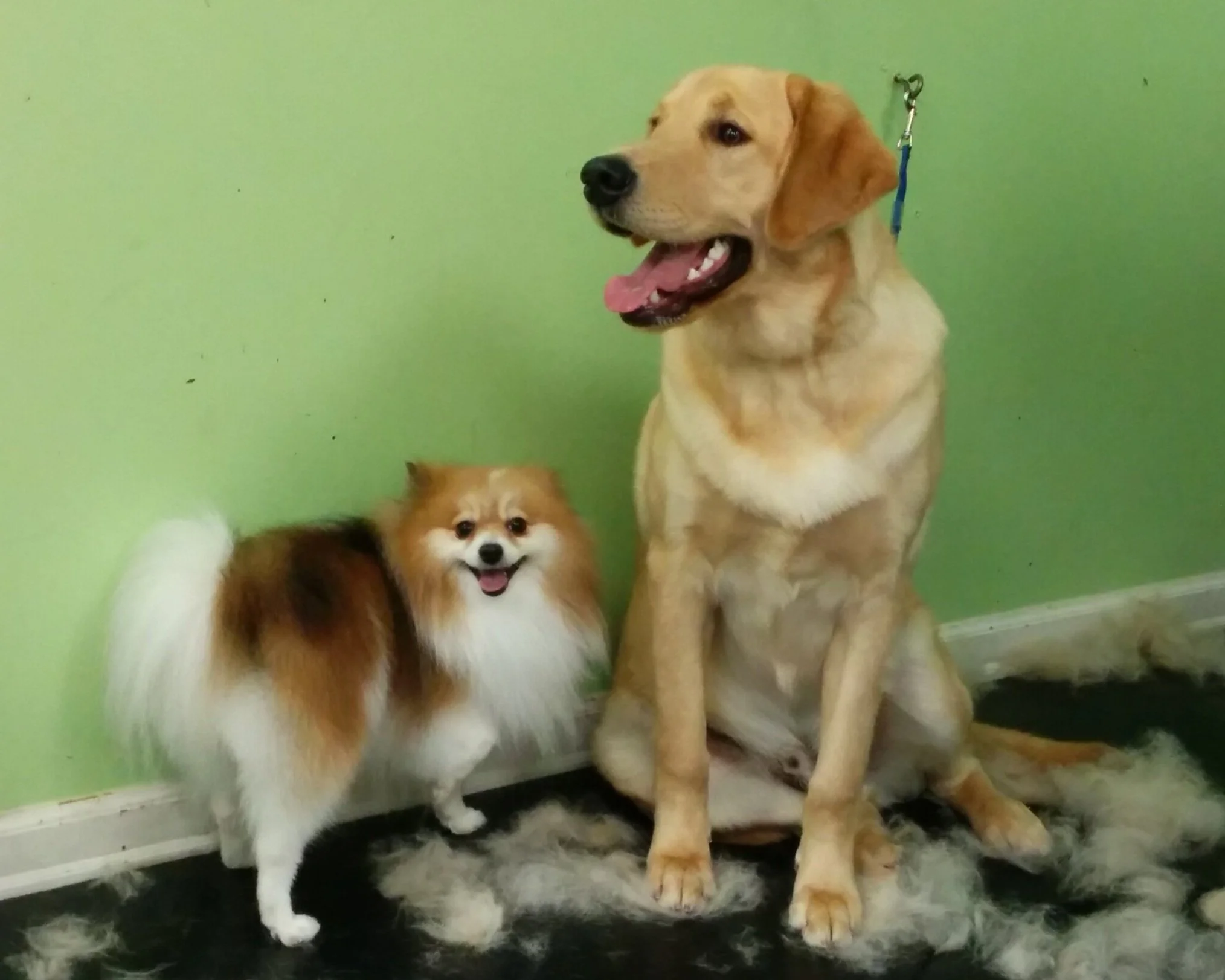 20140307_155803_Android.jpg