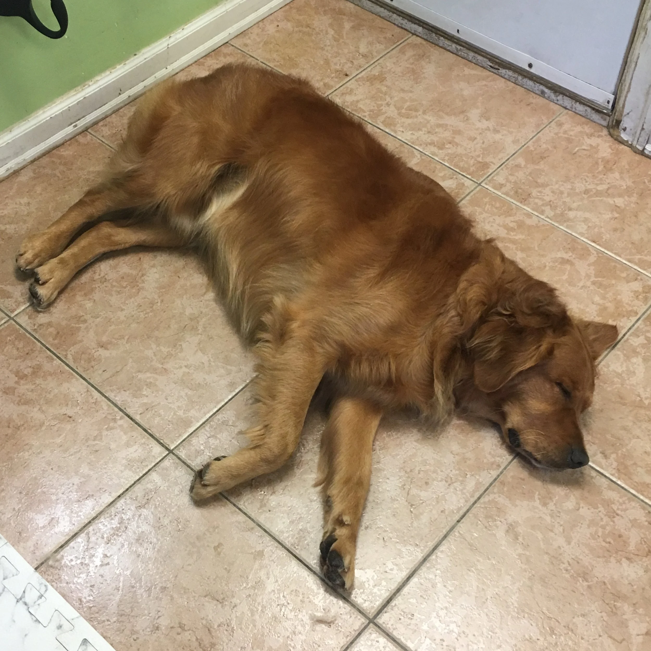 2019-04-16 16.03.01.jpg