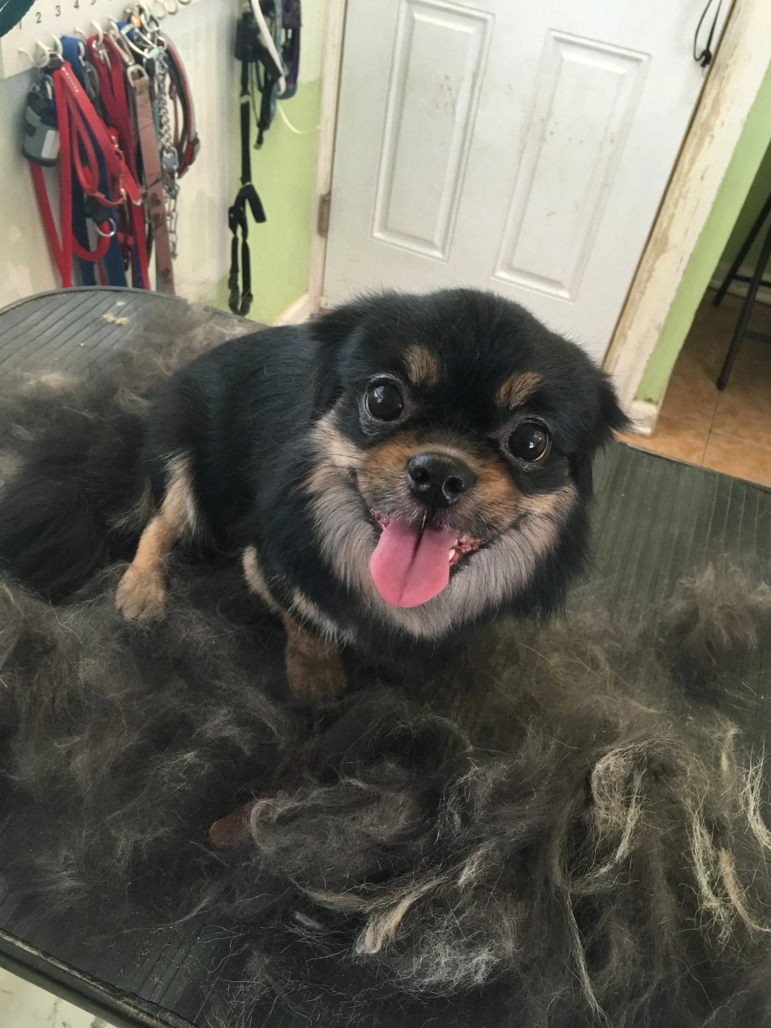 2019-03-23 11.13.36.jpg