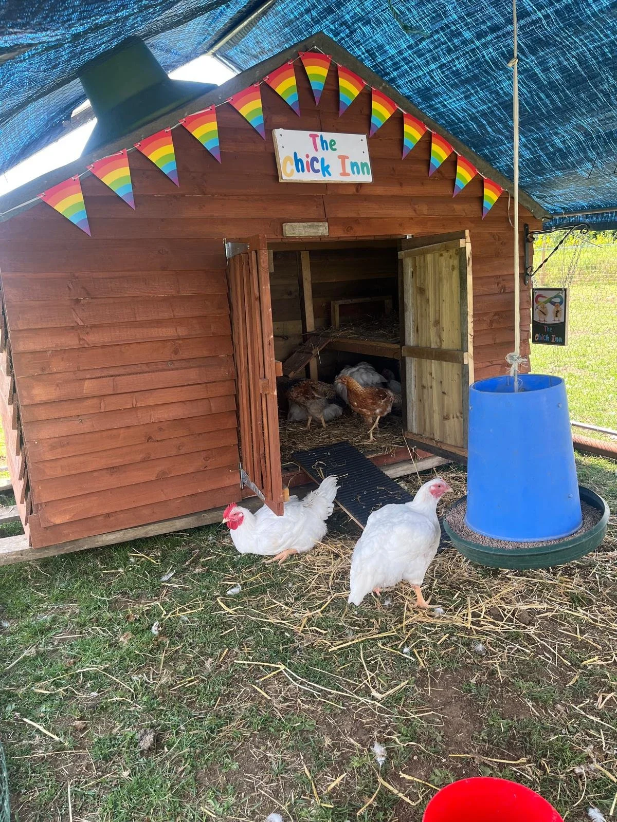 WhatsApp Image 2025-06-24 at 13.49.19 (7).jpeg