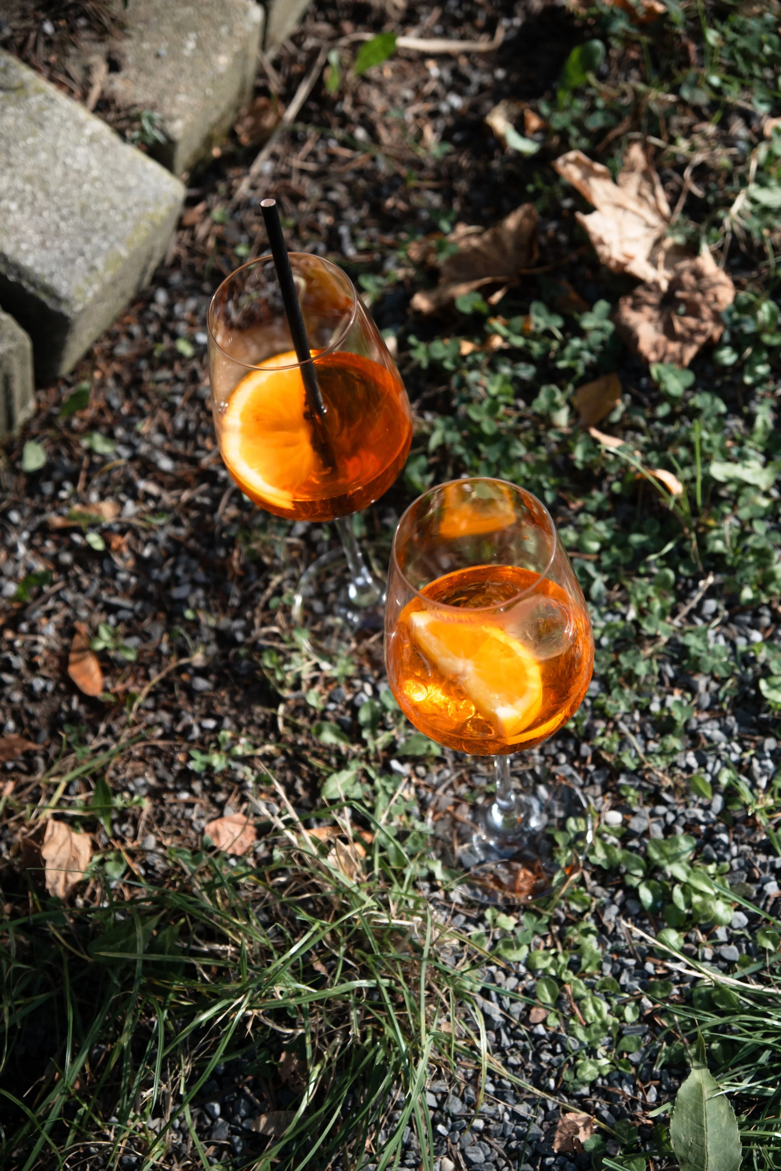 DSCF9156.JPG