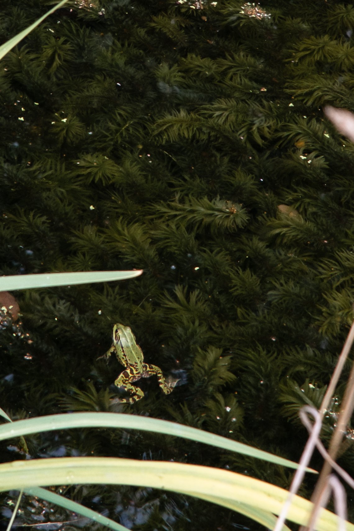 DSCF3399.JPG