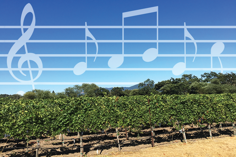 ASCAP (Escape) to Wine Country: Navigating Music Copyright in Tasting Rooms 