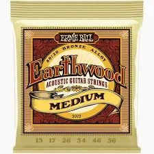 Ernie Ball Earthwood medium.webp