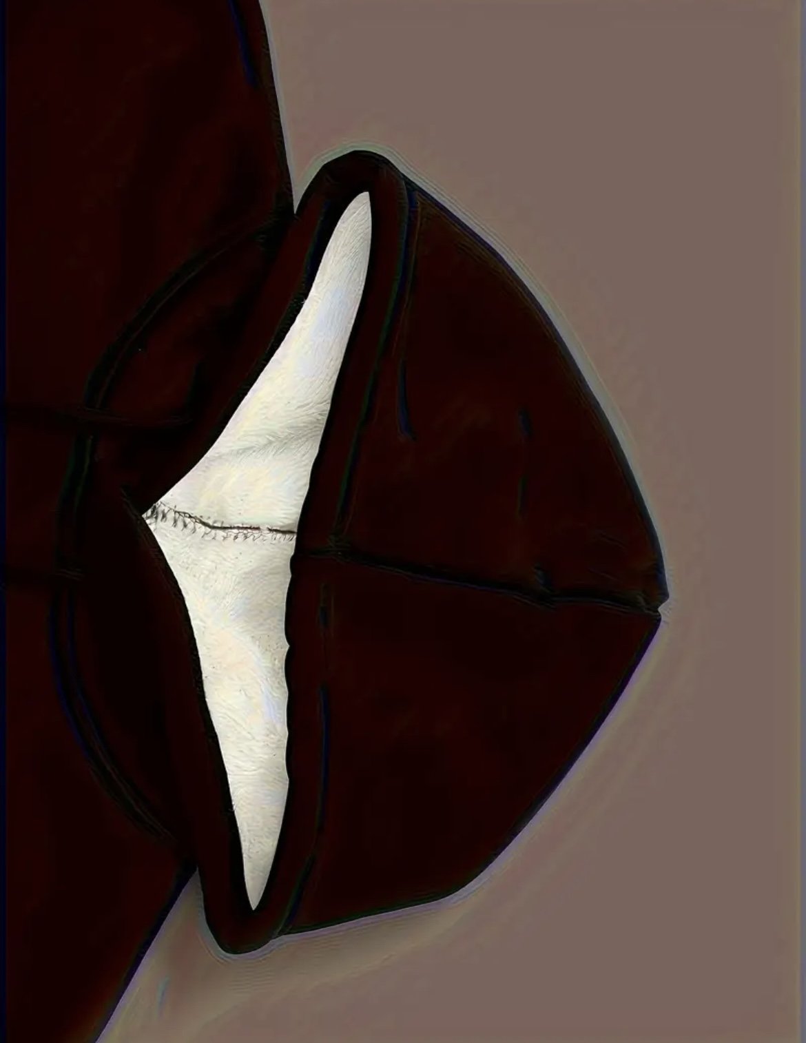 FB81000D-48DF-4AD2-8854-9D78B1C706C2.jpeg