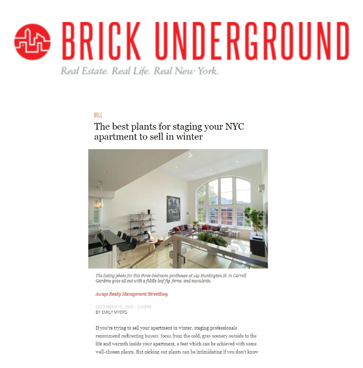 A newsletter header from Brick Underground featuring an article about plants for NYC apartments, with a photo of a bright, modern living room with large windows, potted plants, and minimalist decor.