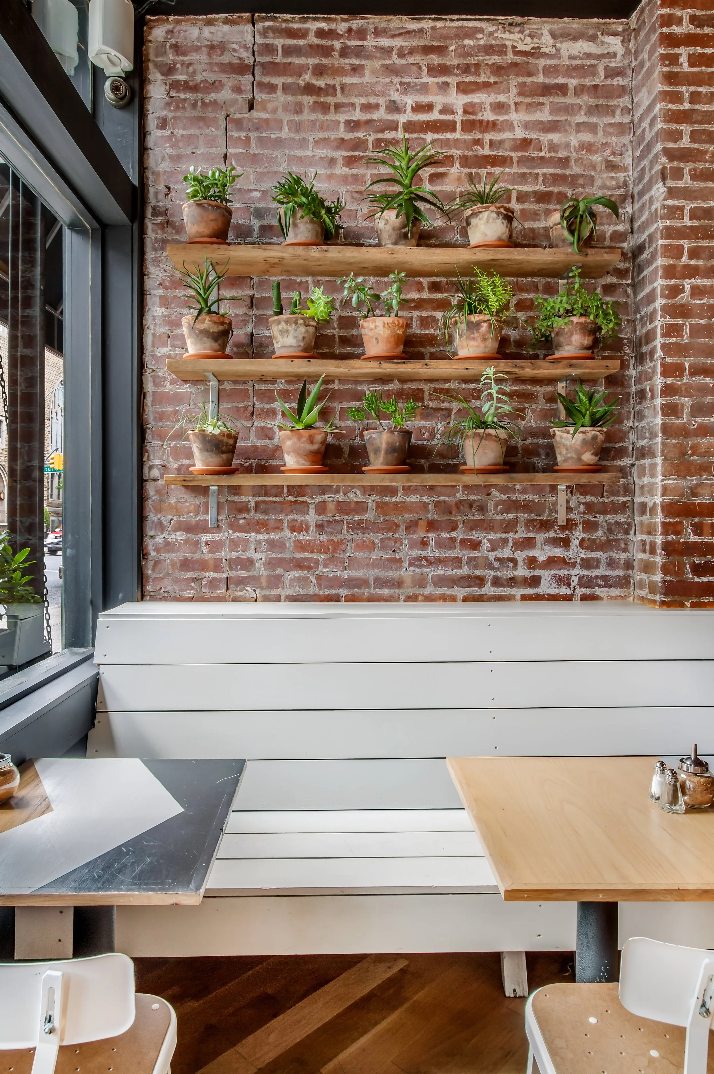 Indoor café scene with a brick wall decorated with three wooden shelves holding various potted plants, alongside tables and chairs.