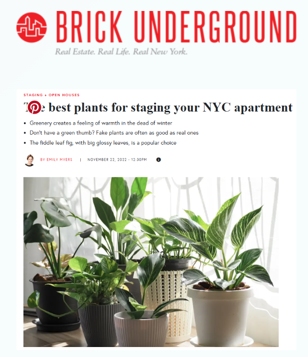 Photo of several green houseplants in white, black, and beige pots on a windowsill with sheer curtains.