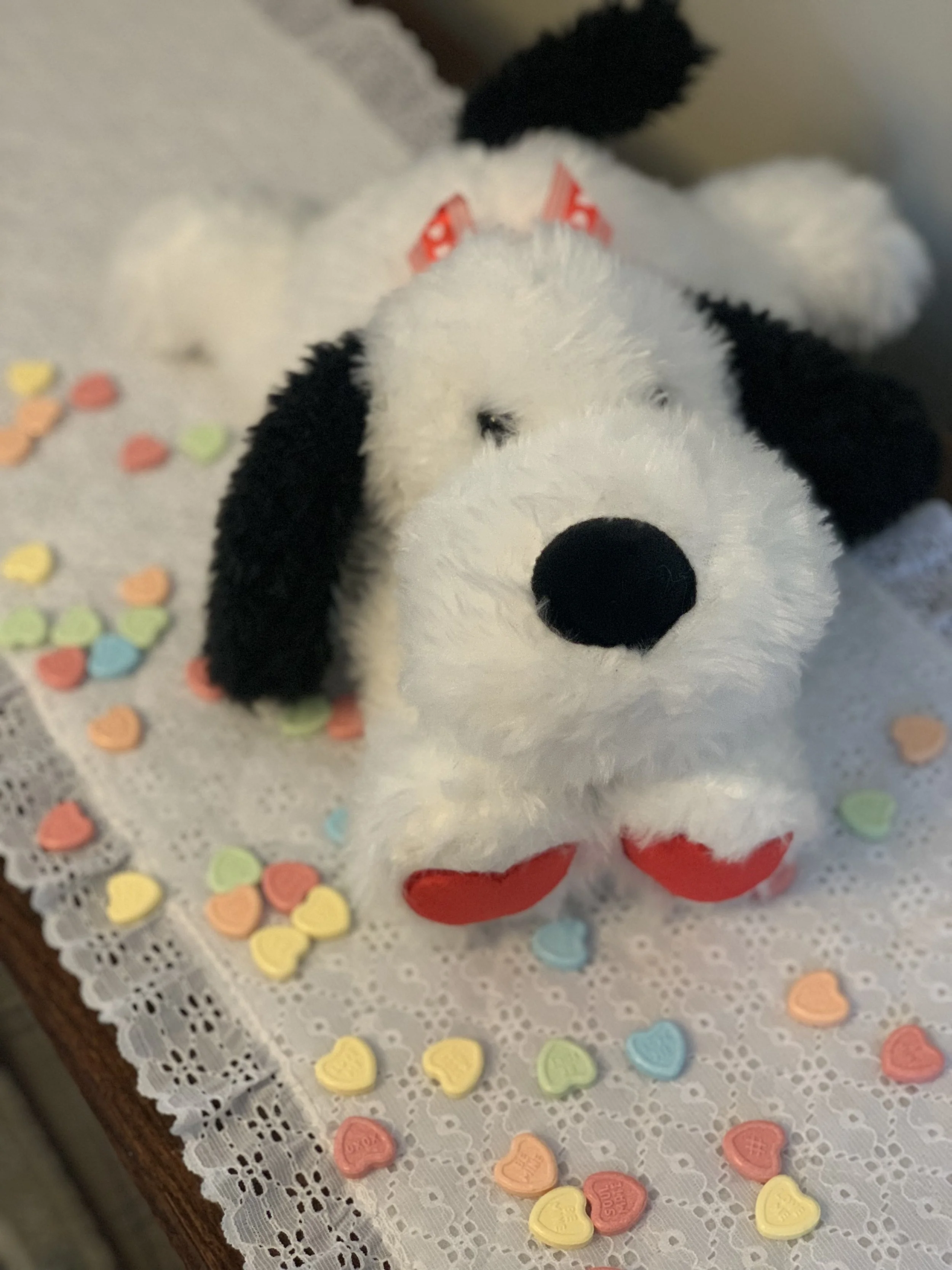 Valentine Plush- White Dog