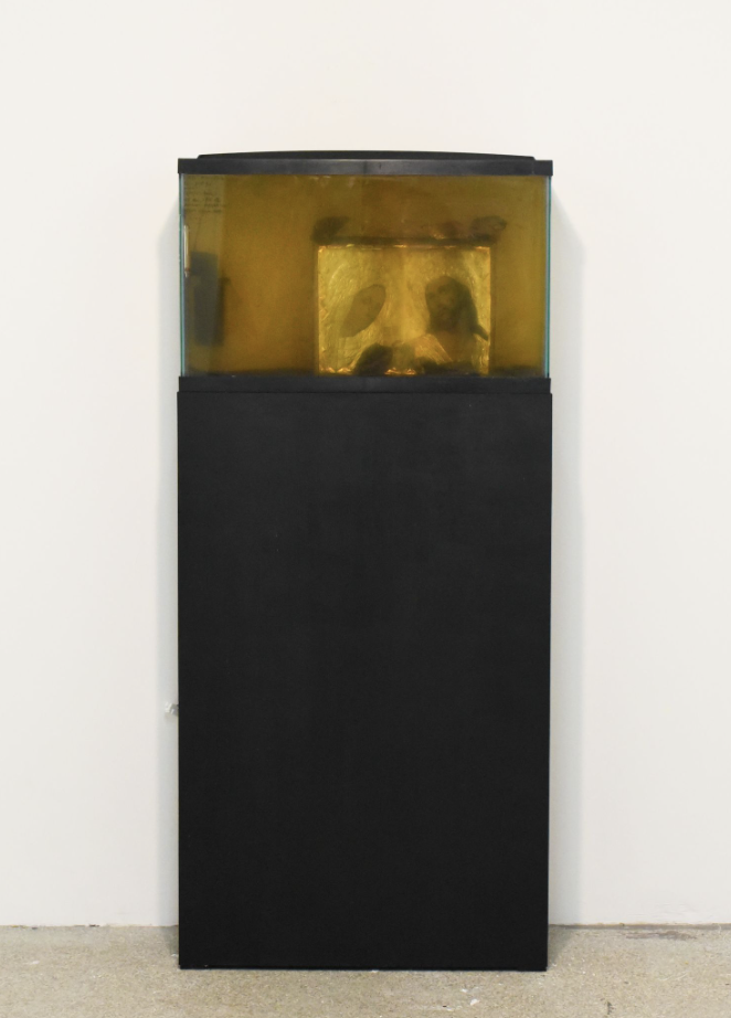 Screenshot 2025-08-24 at 11.06.24 PM.png