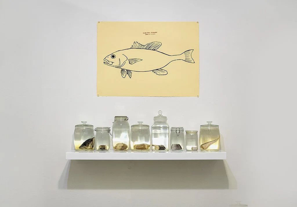 Piece Meal,  dimensions variable. Screenprint, pushpins, acrylic shelf,  eight glass jars, alcohol, Sea bass, Red snapper, Porgy, Whitting. 2024 
