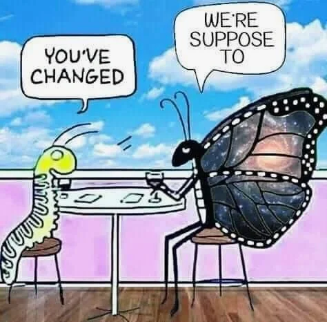 Cartoon of caterpillar and butterfly saying "You've changed." "We're supposed to"