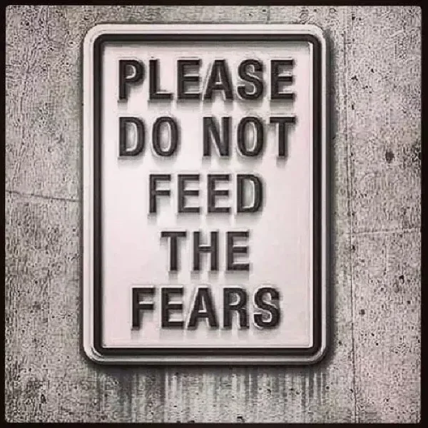 White rectangular road sign that reads "Please do not feed the fears"