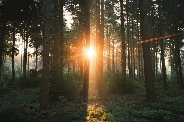 The Truth About Passive Aggression