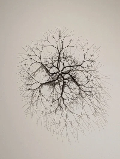 Abstract image of branches in circular pattern around center