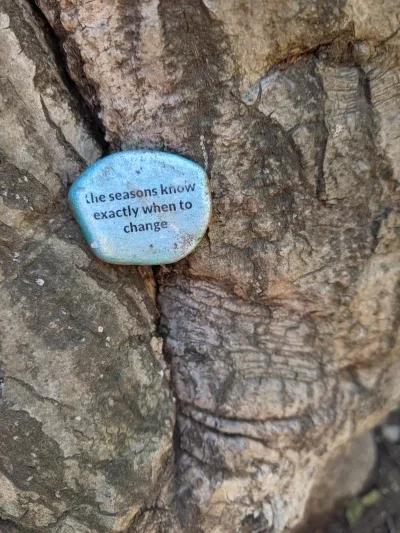 Blue painted rock with the phrase "the seasons know exactly when to change"