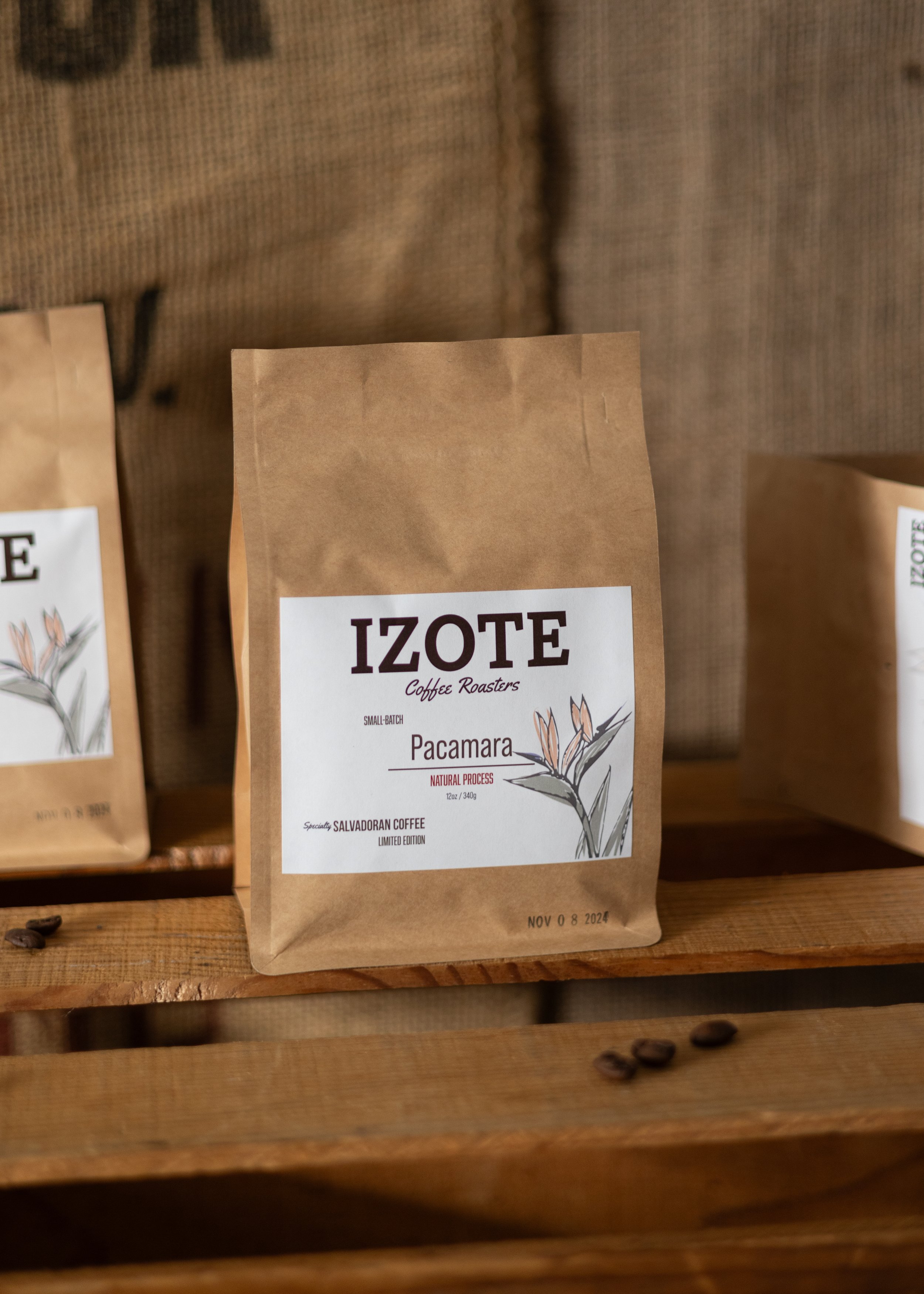 Pacamara