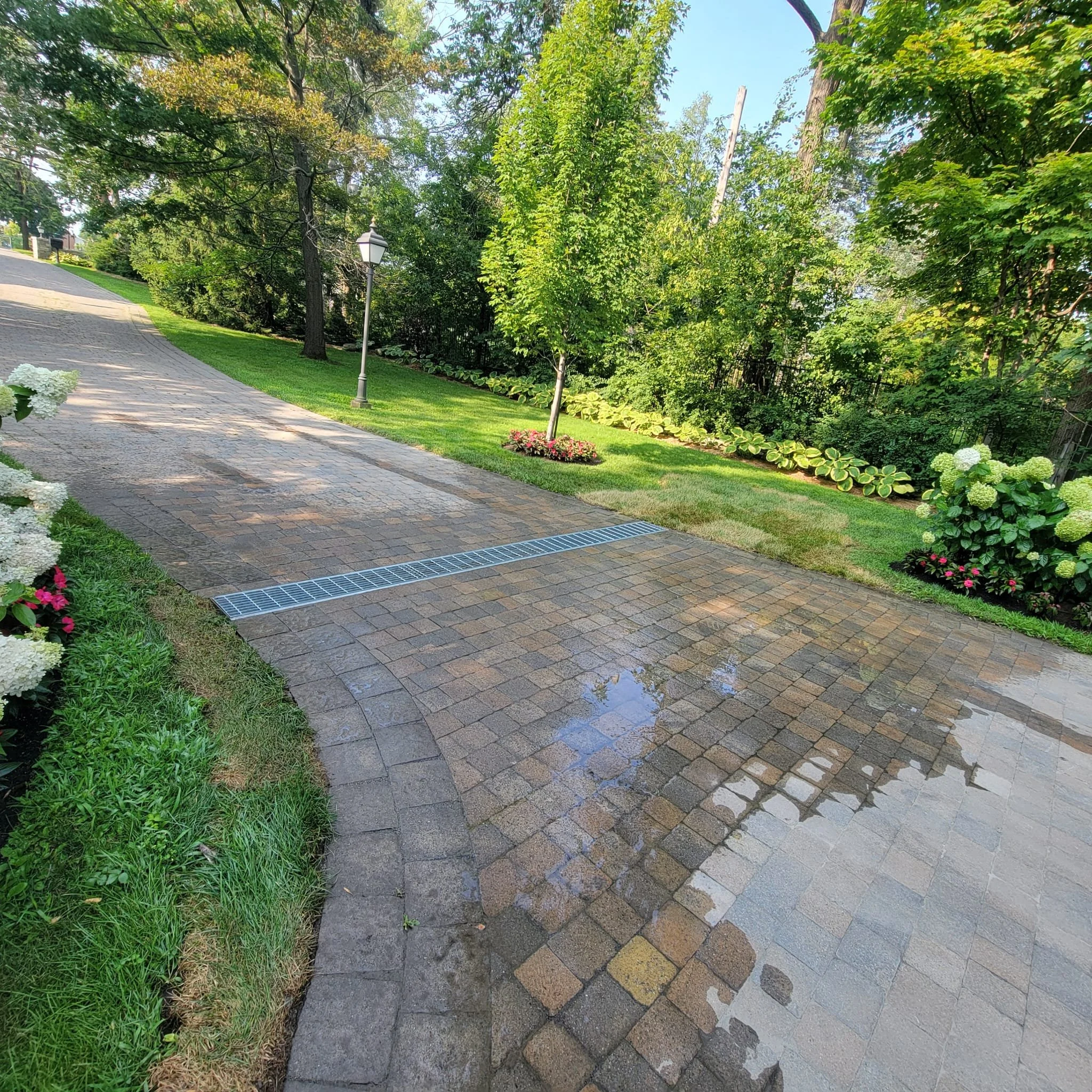Paved driveway with rain puddles, a sidewalk, green grass, trees, flowers, and a lamppost in a residential garden.