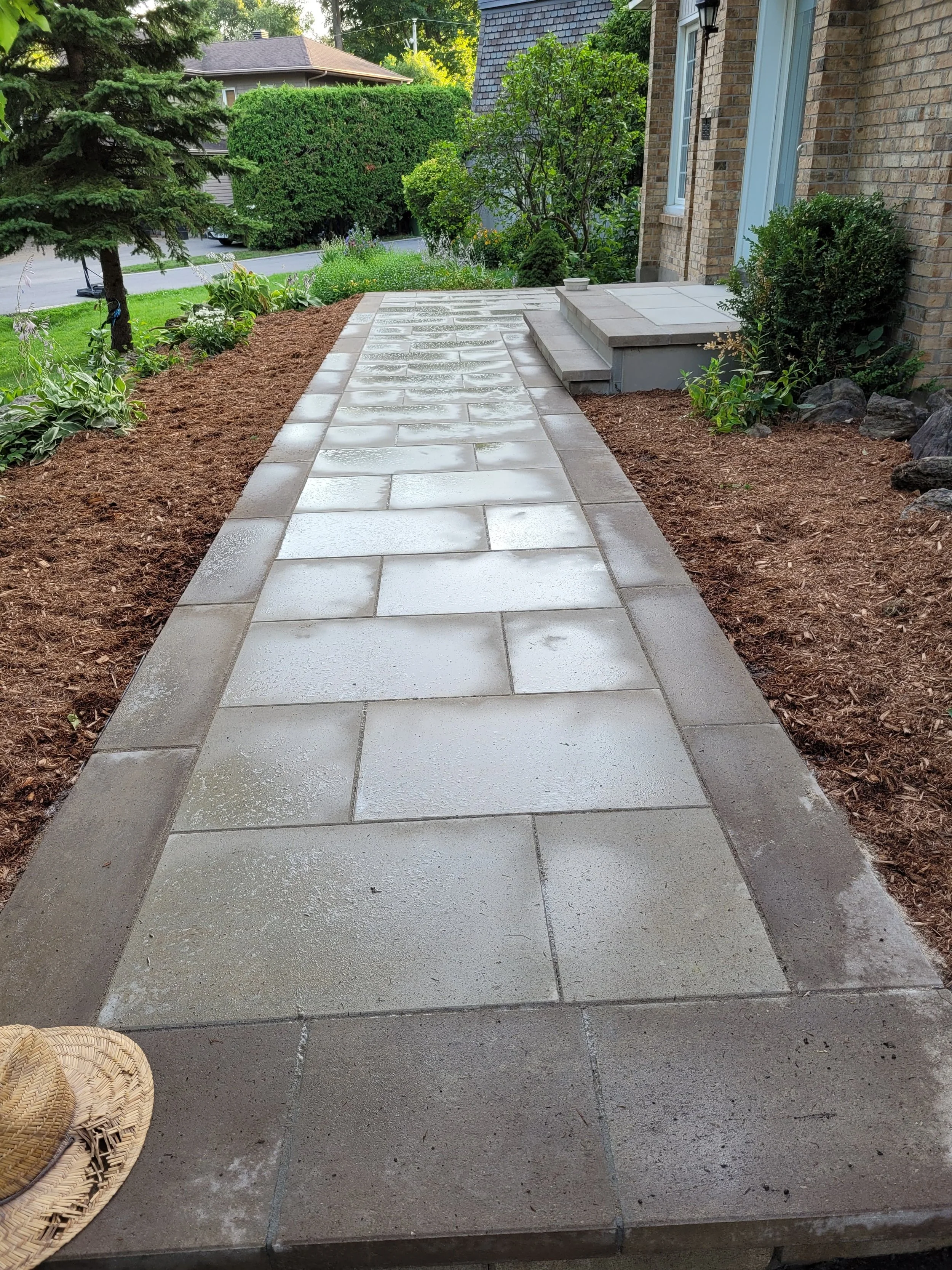 Newly paved concrete walkway leading to front steps of a house, with plants and bushes on both sides and a sidewalk and trees in the background.