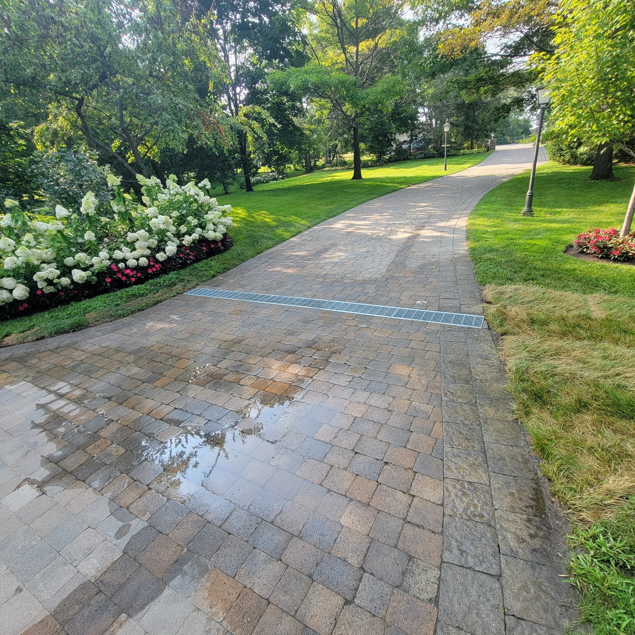 Curved brick pathway in a park with green grass, colorful flowers, trees, and lampposts lining the path. Puddles are visible on the pathway.
