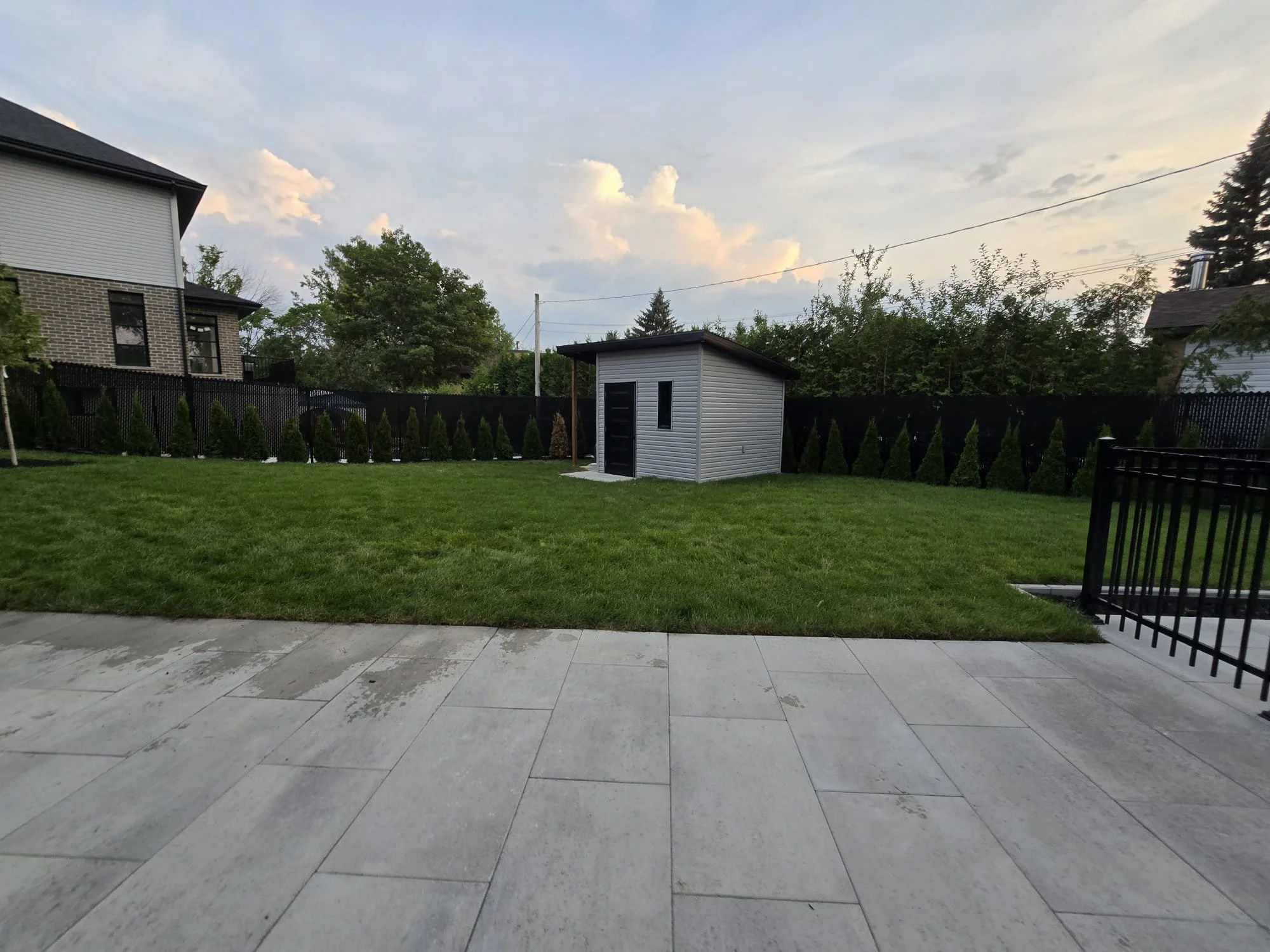 A backyard with a lawn, a small shed, a black fence, and neighboring houses and trees in the background at dusk.