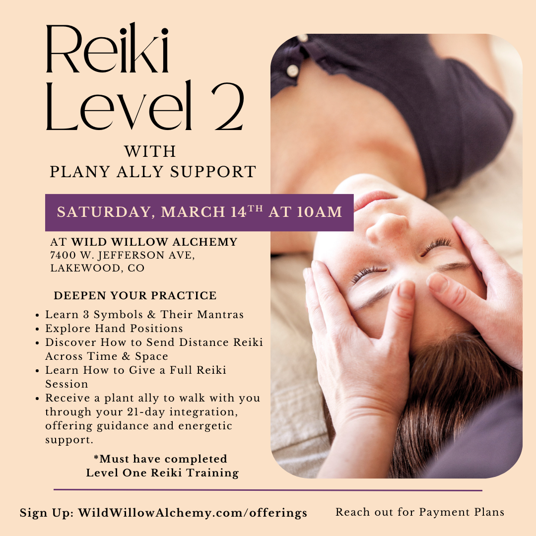 Reiki Level Two - Okuden