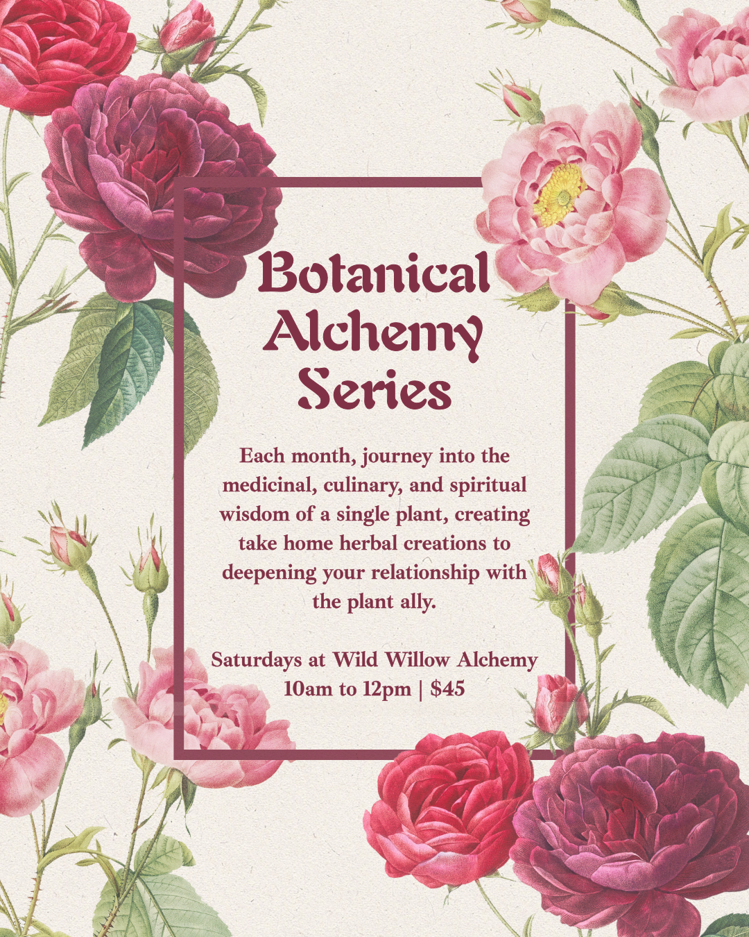Botanical Alchemy: Lemon Balm