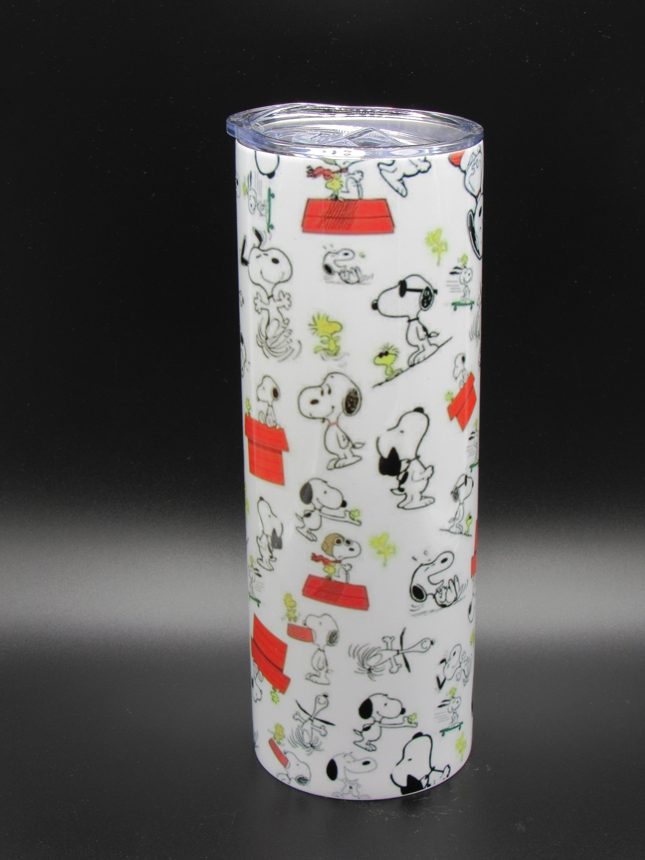 Snoopy The Red Baron