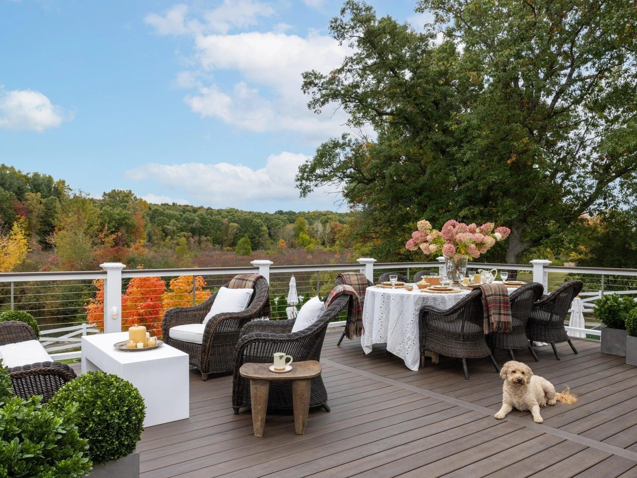 Before Summer Slips Away: 