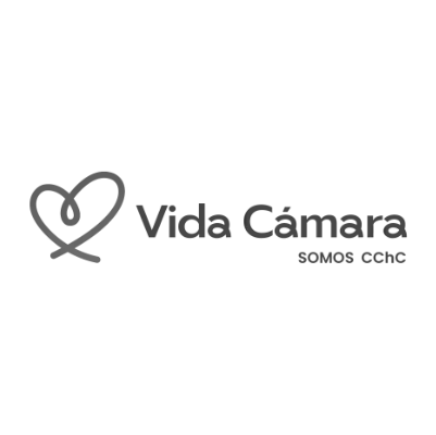 Seguro dental Vida Cámara