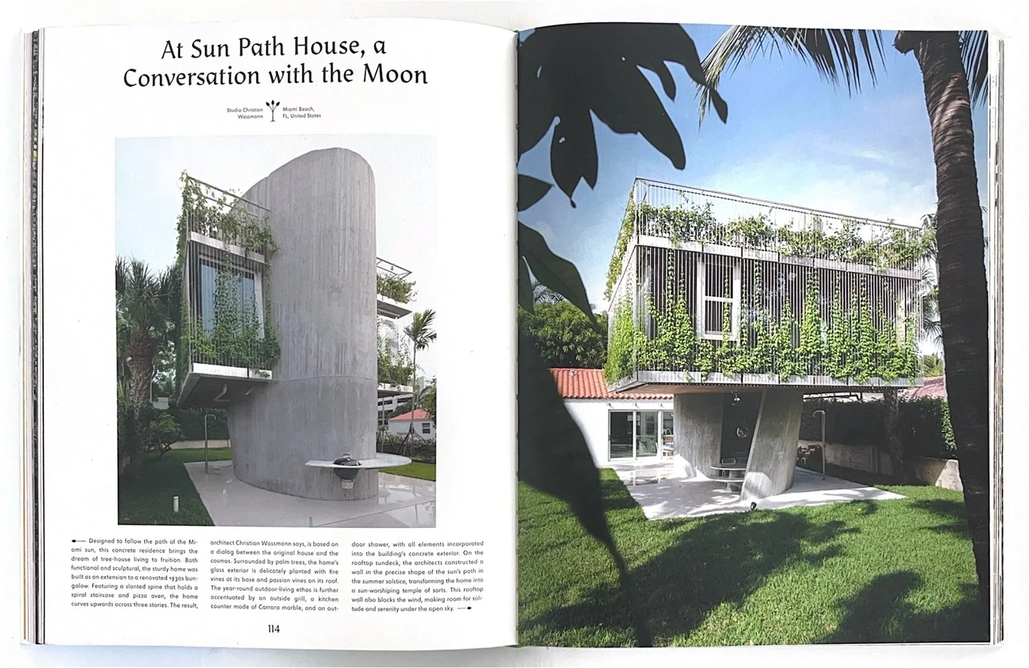 Evergreen - Image 1.jpg