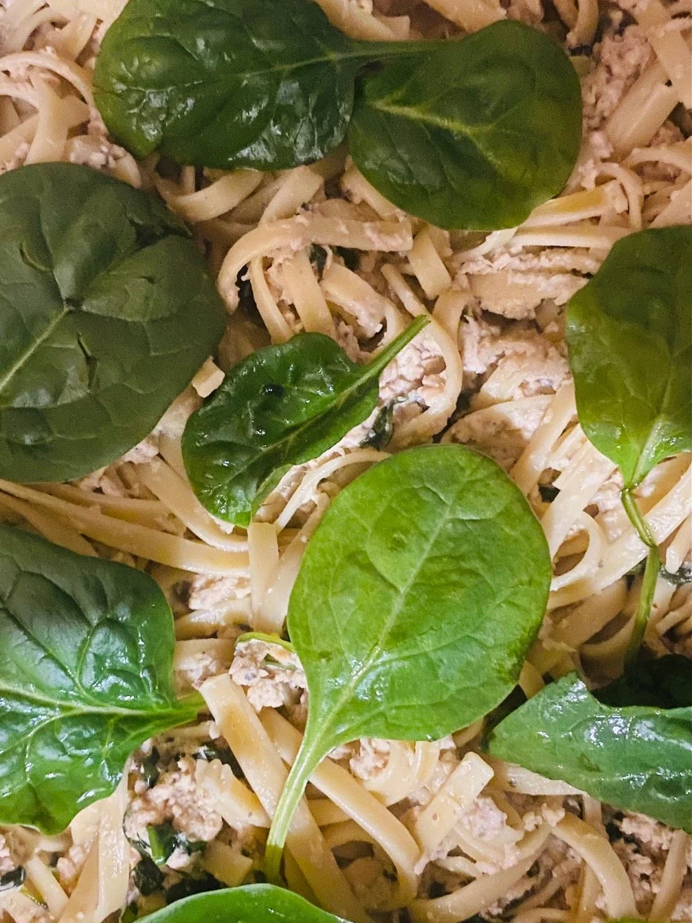 Creamy Salmon and Spinach Pasta