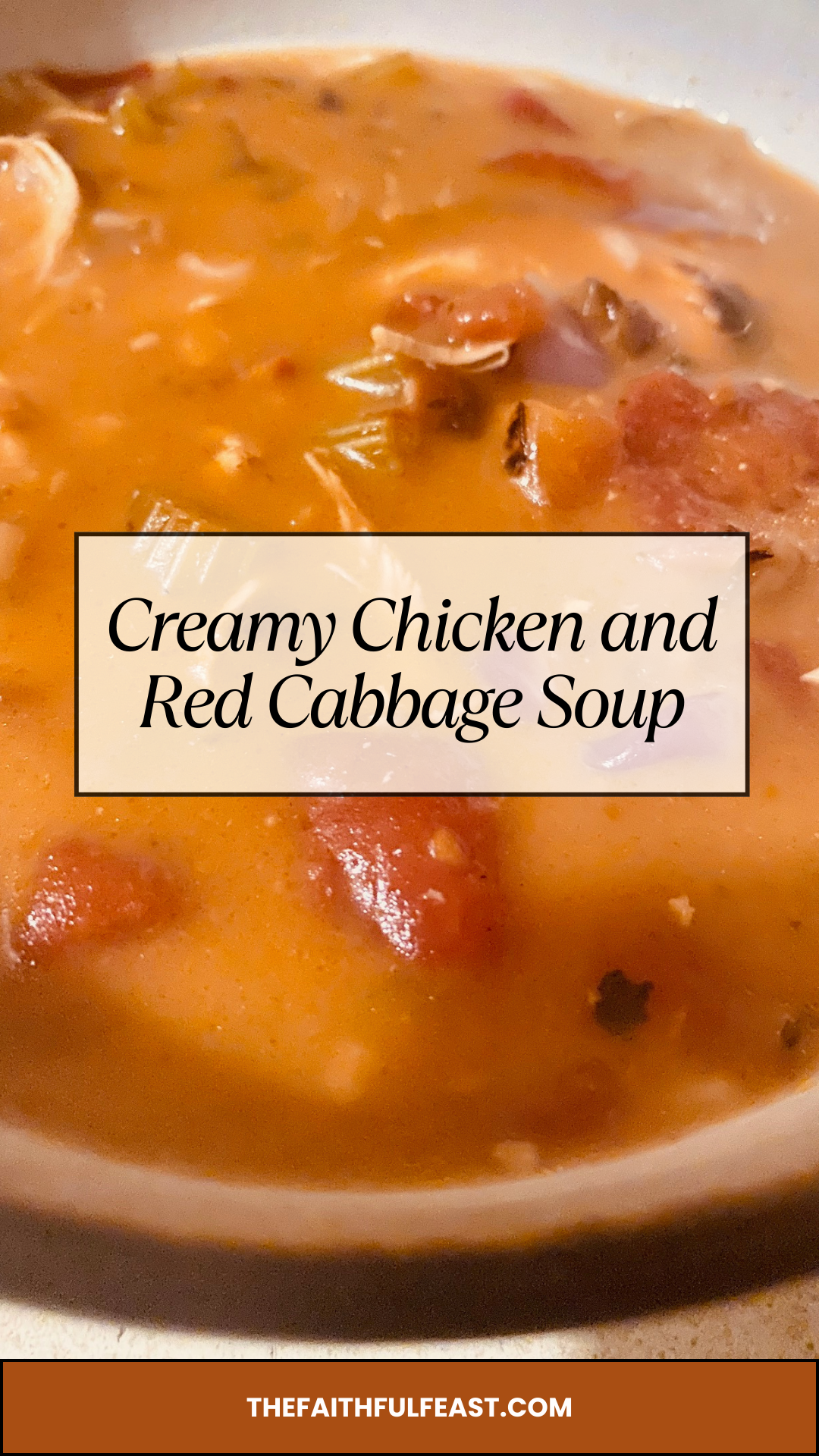 Chicken soup with red cabbage