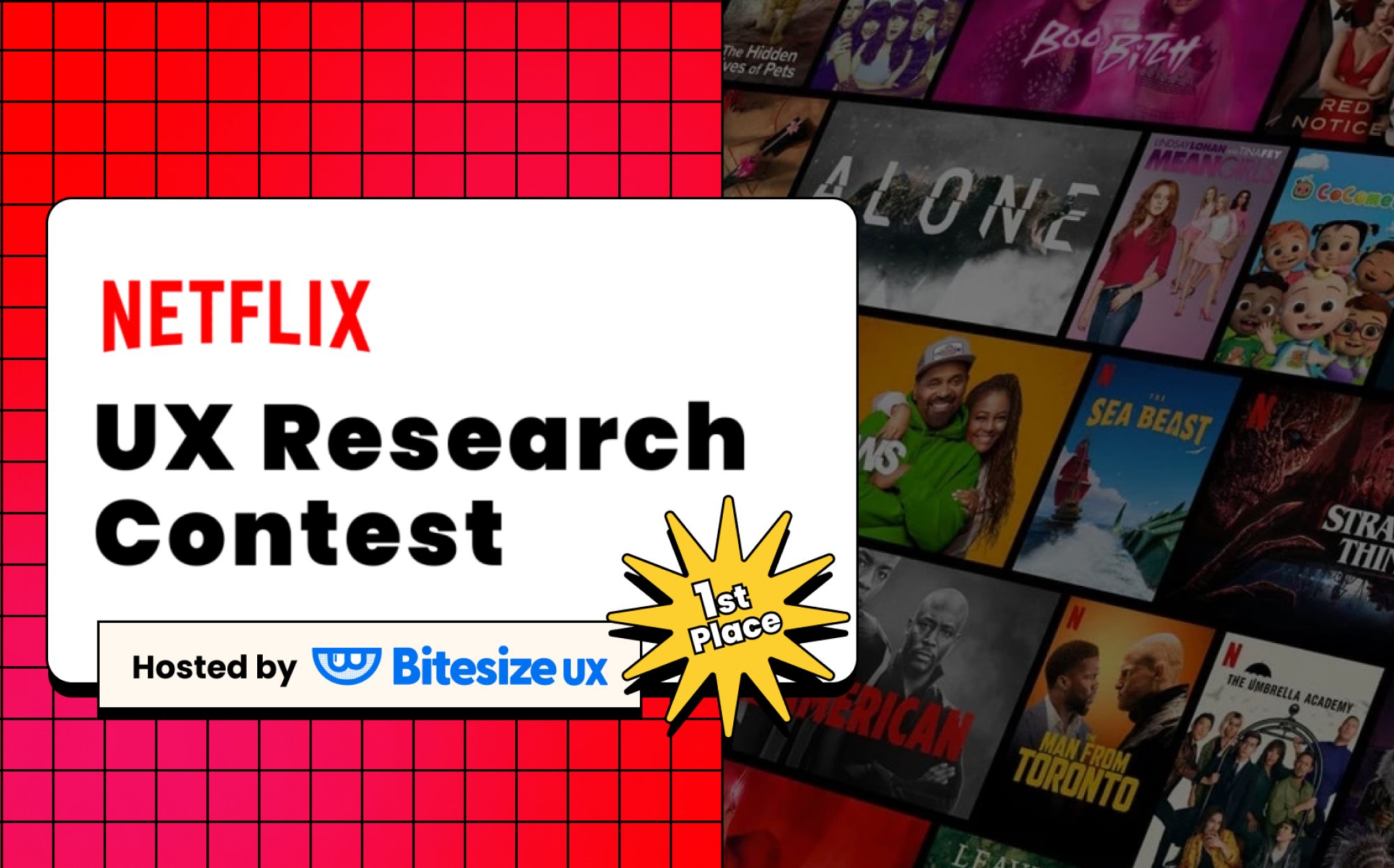 Researching Shared Viewing on Netflix