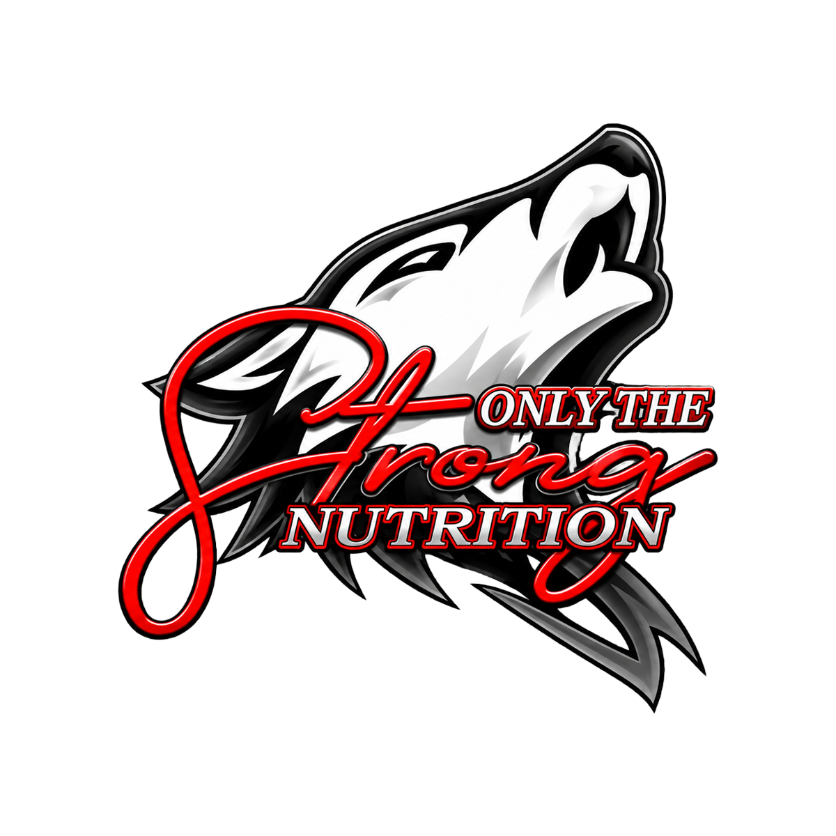 2026 Dynamic Nutrition Logo.png