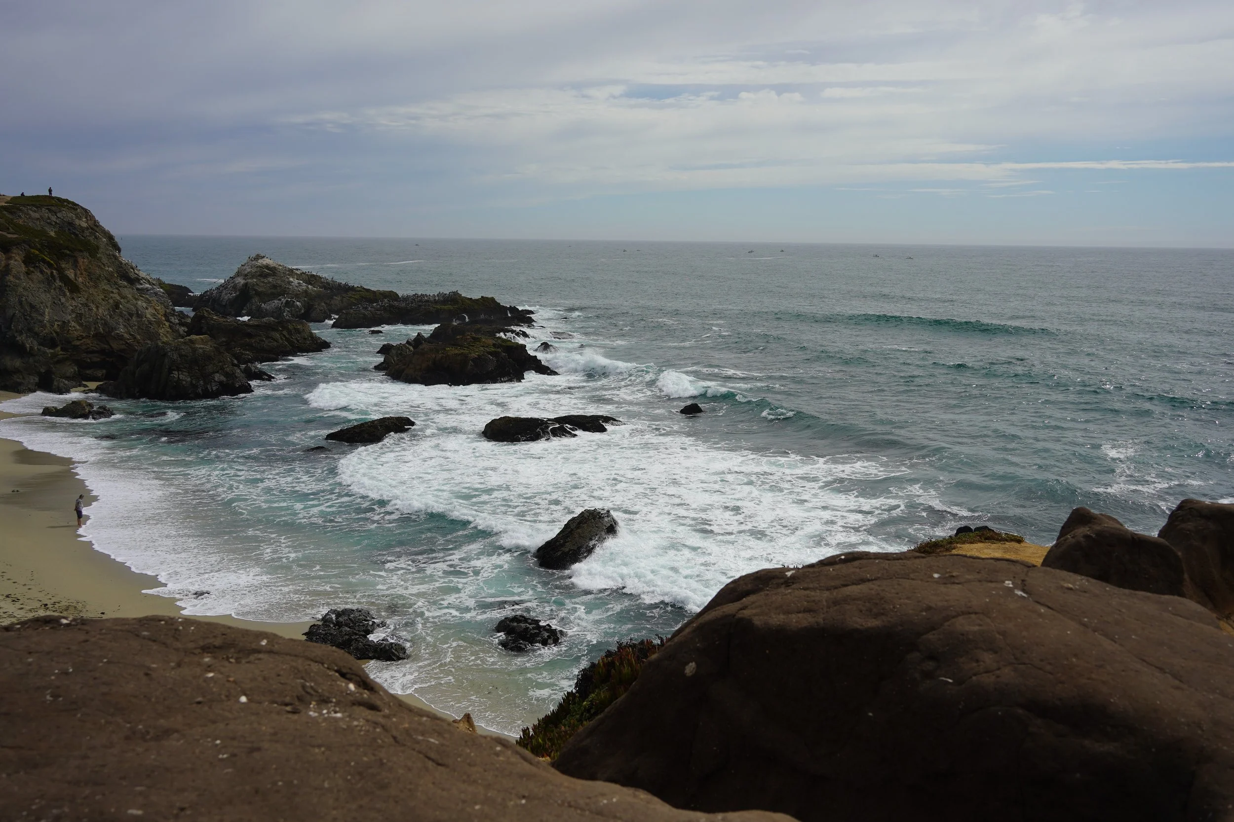 DSC09558.JPG
