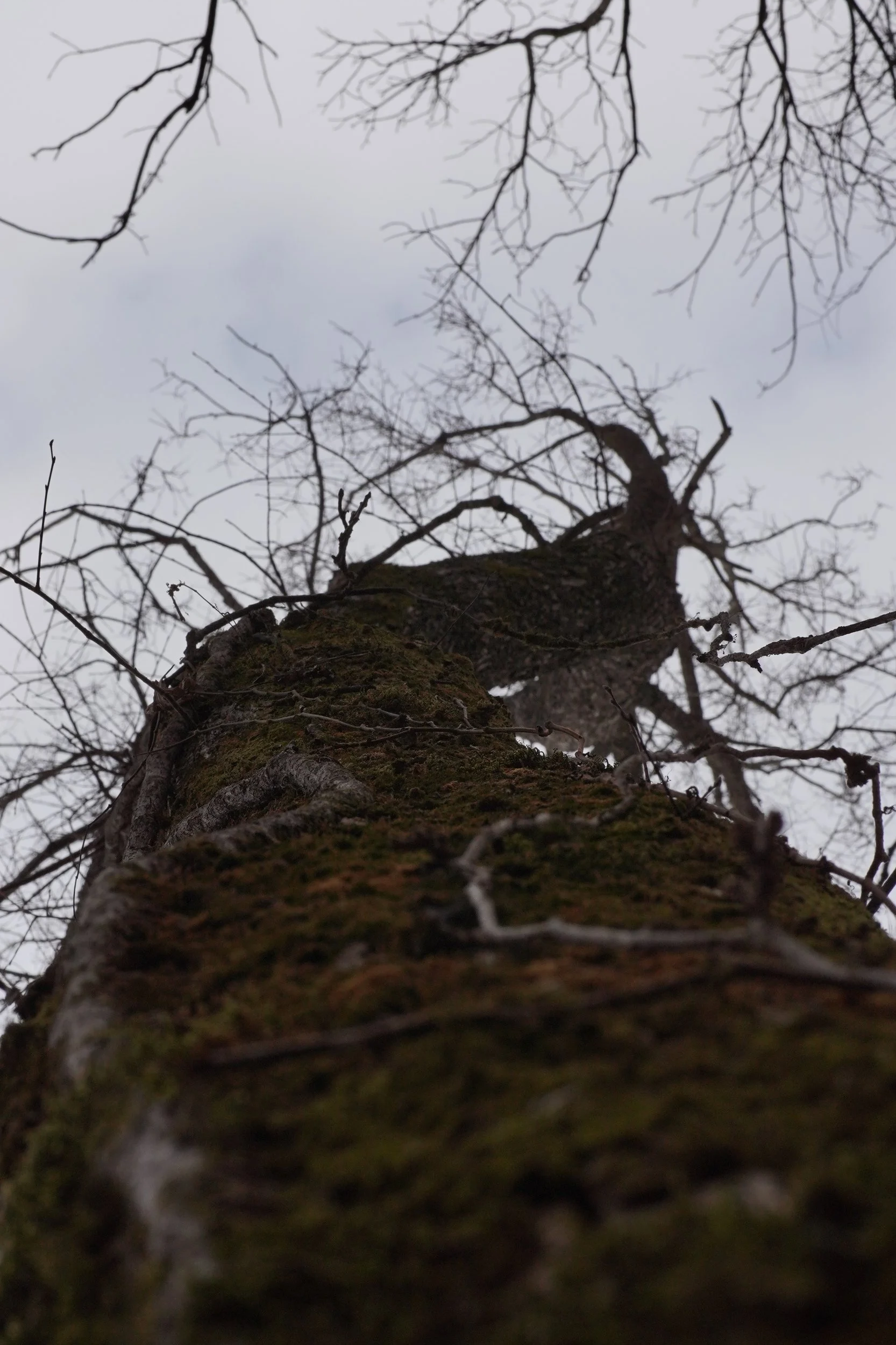DSC01538.png