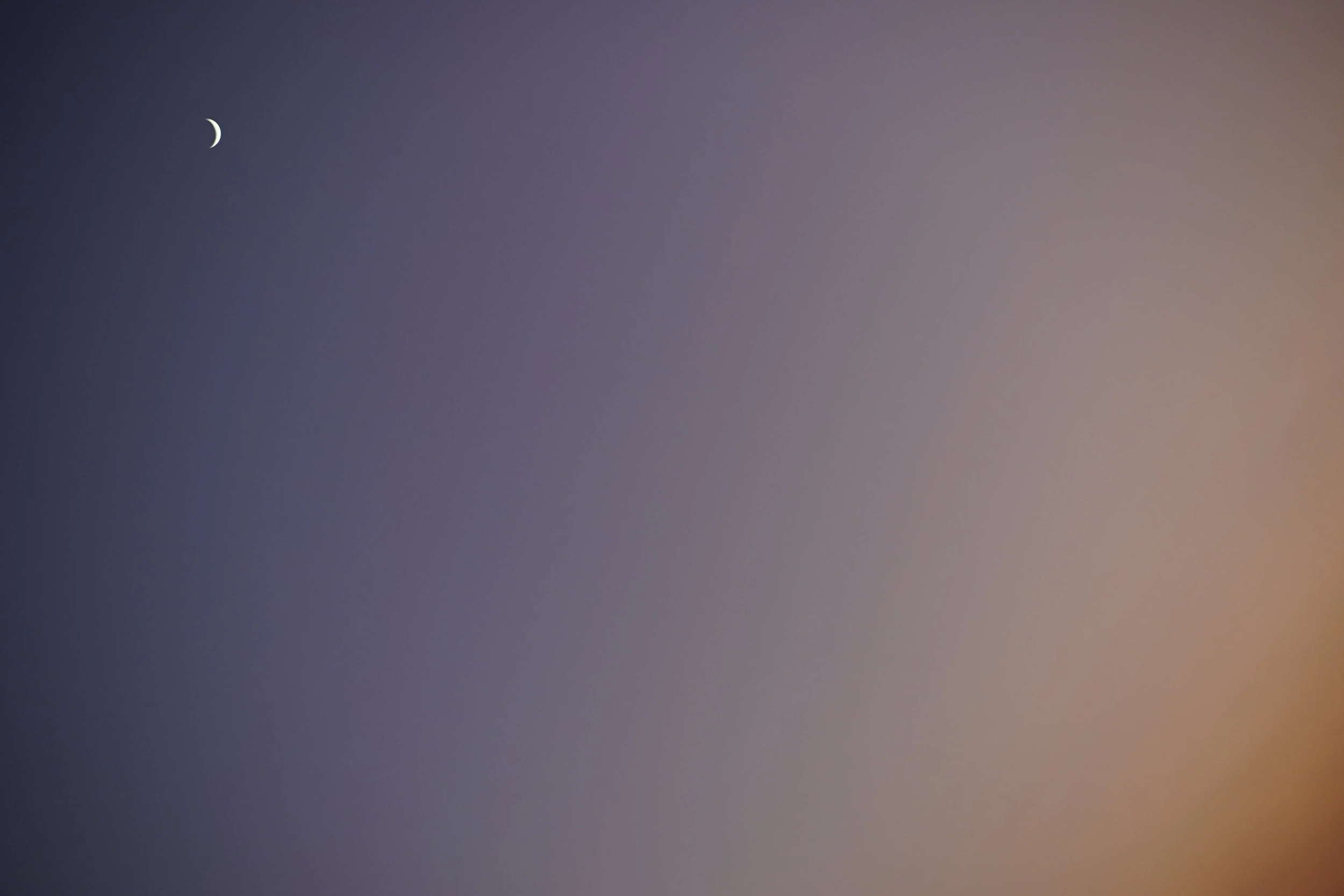 DSC01659.png