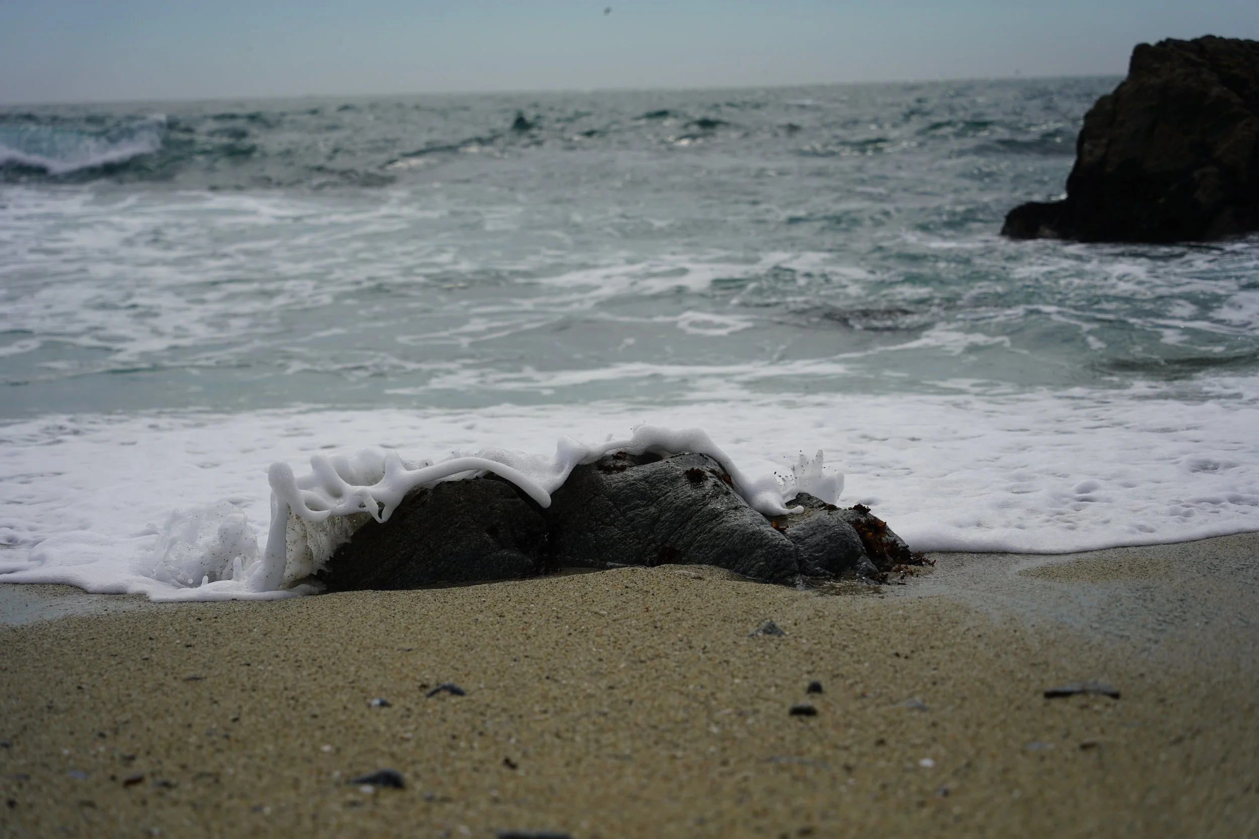 DSC09315.JPG