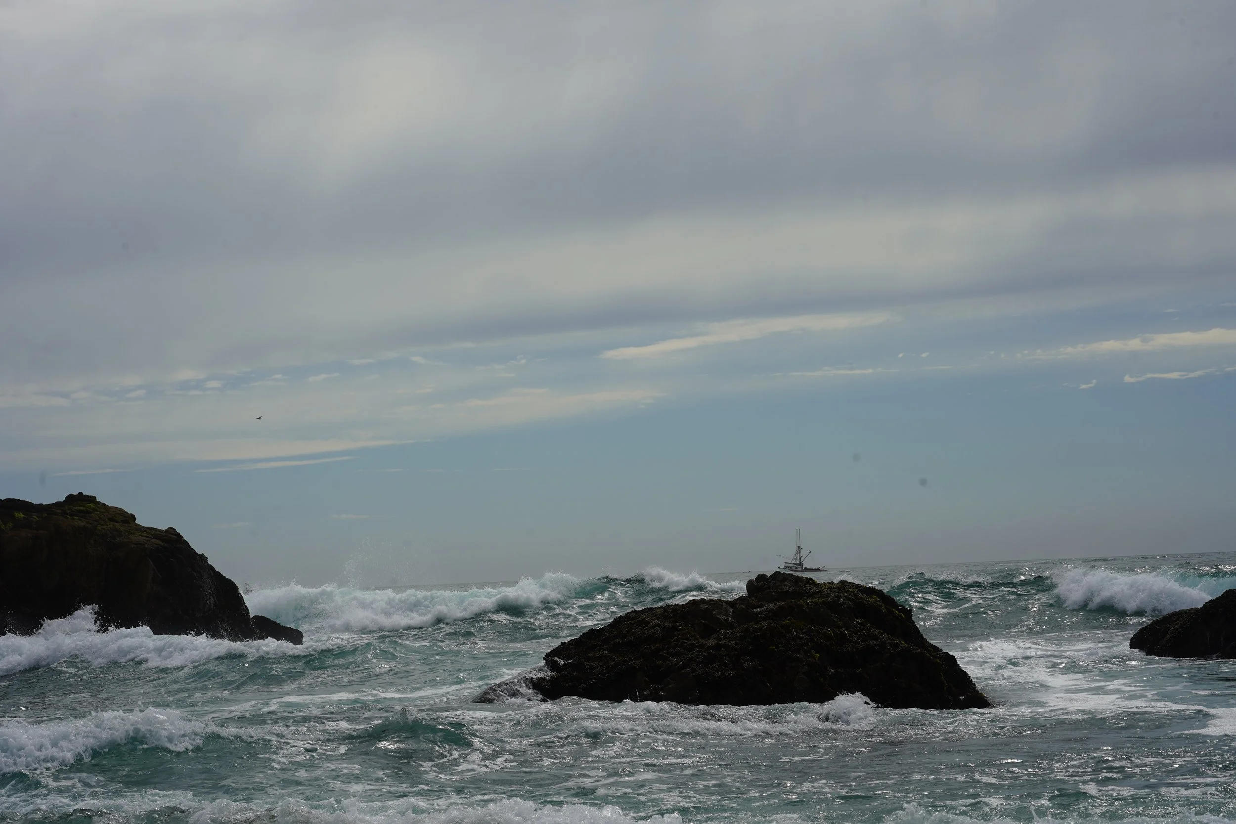 DSC09272.JPG