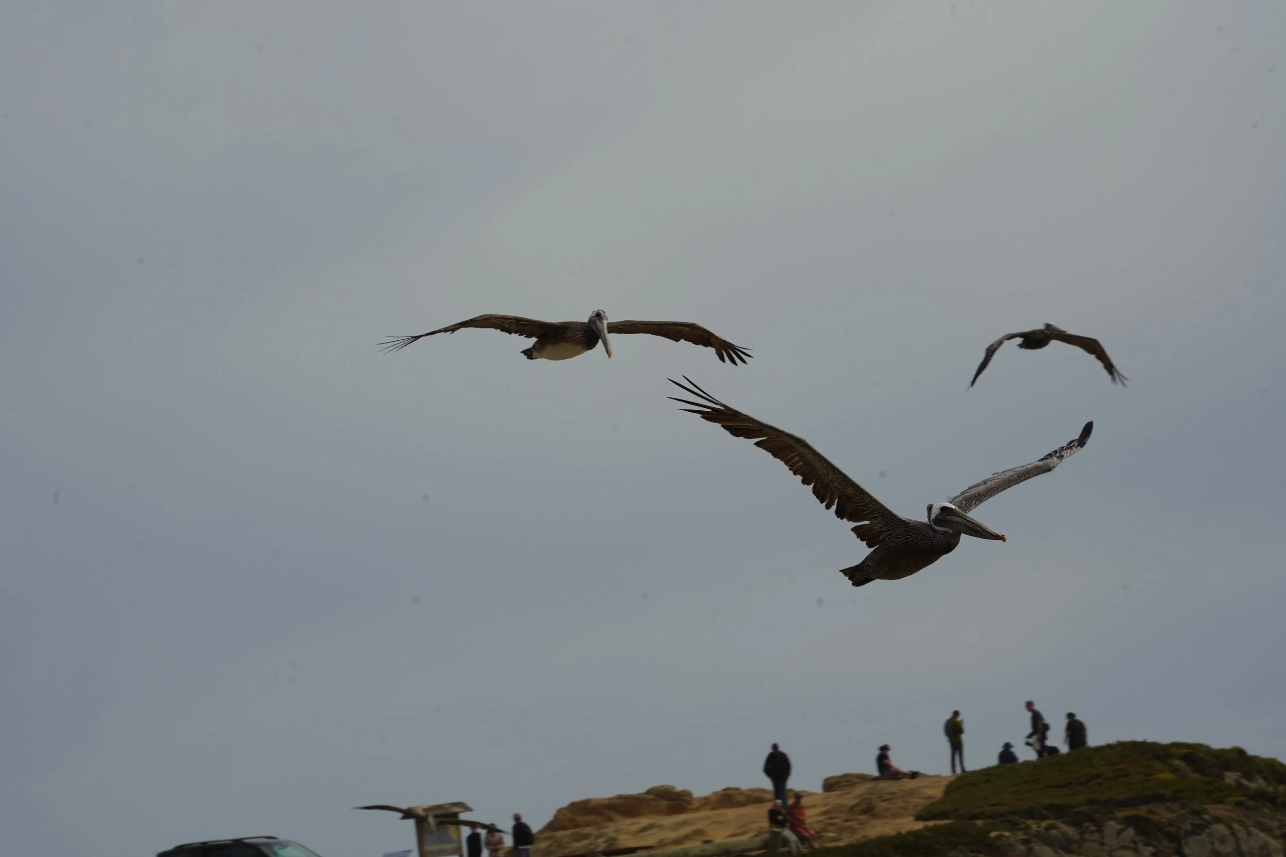 DSC09507.JPG