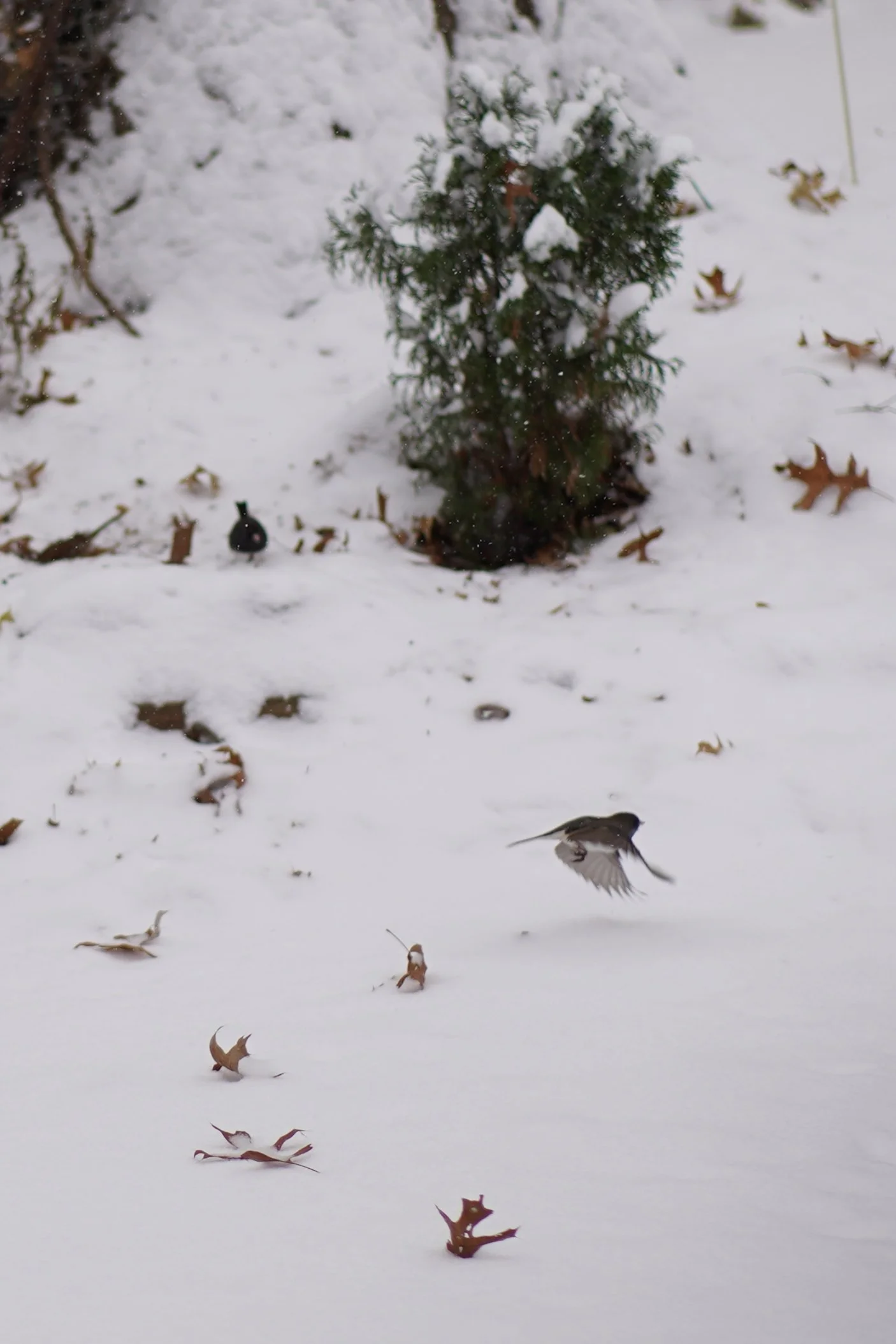 IMG_20251201_161141.jpg