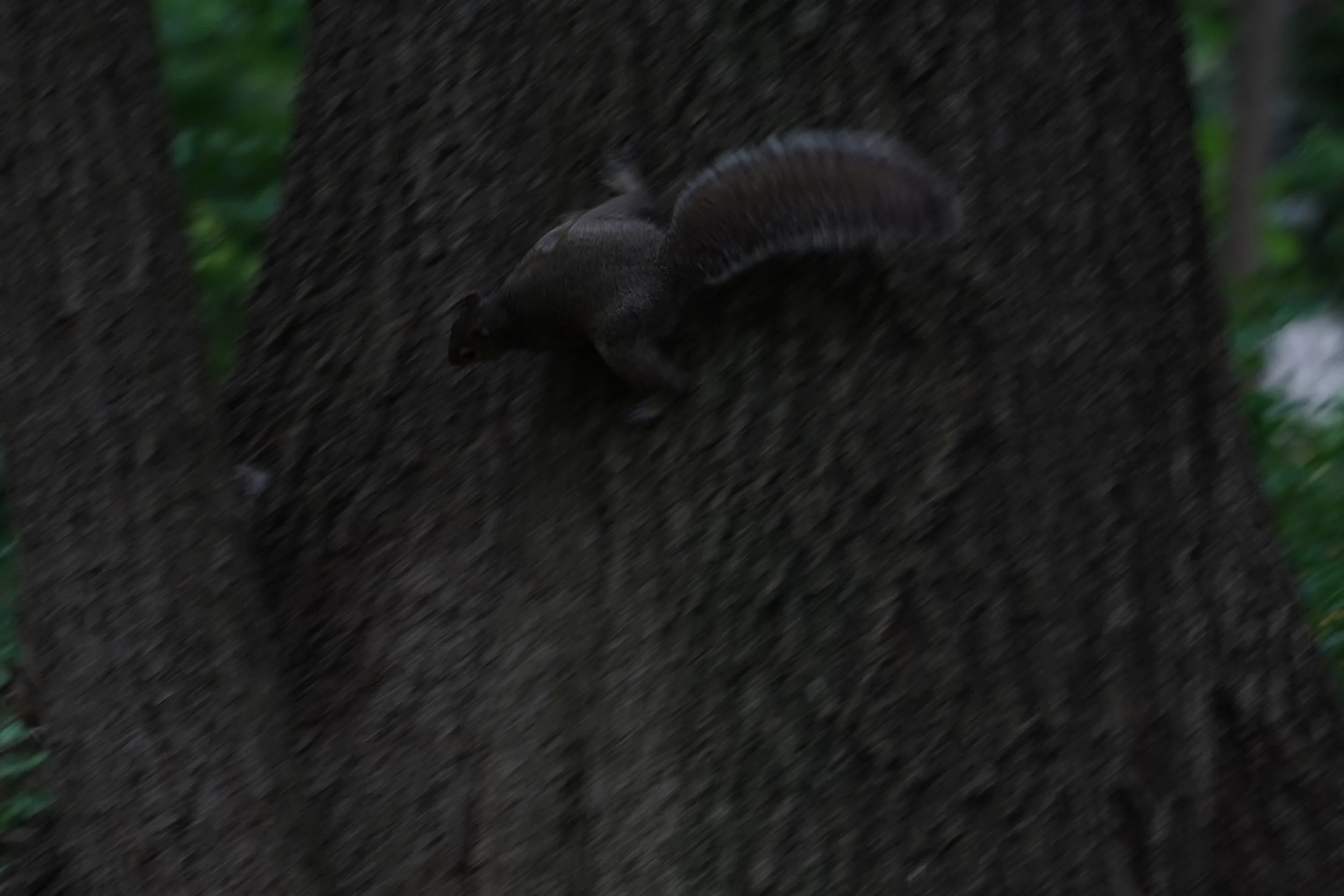 DSC06544.JPG