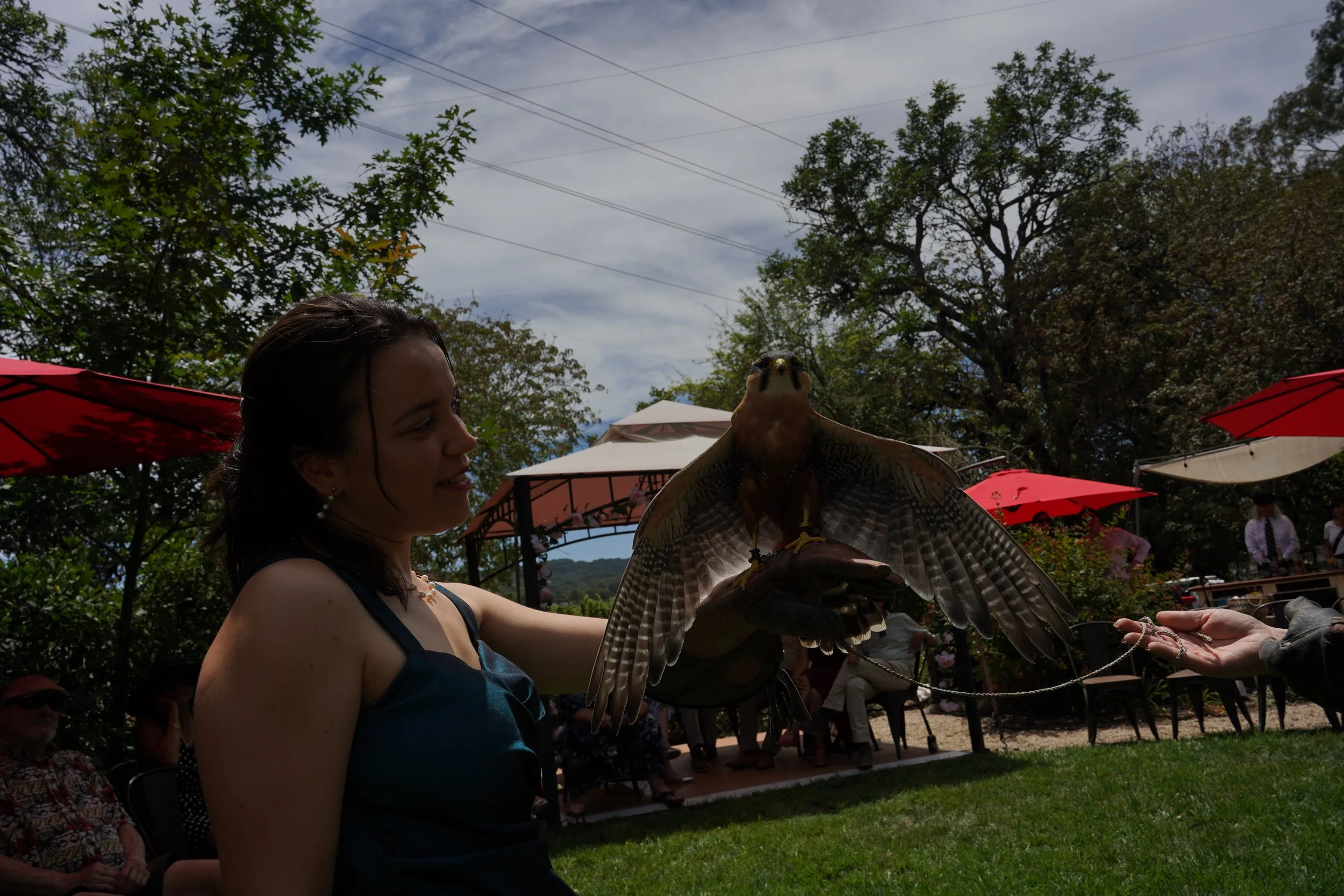 DSC08869.JPG